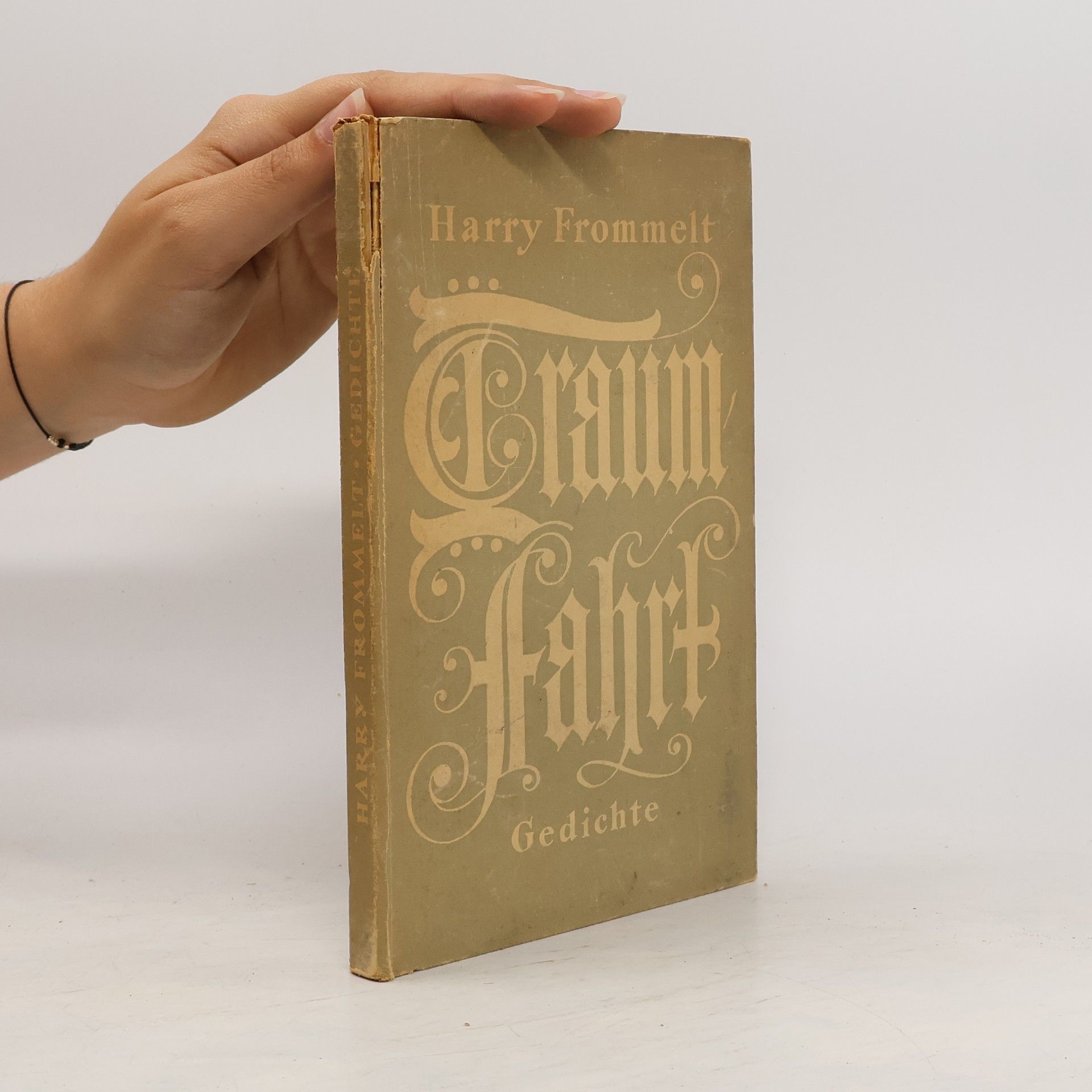 Harry Frommelt Traumfahrt Gedichte