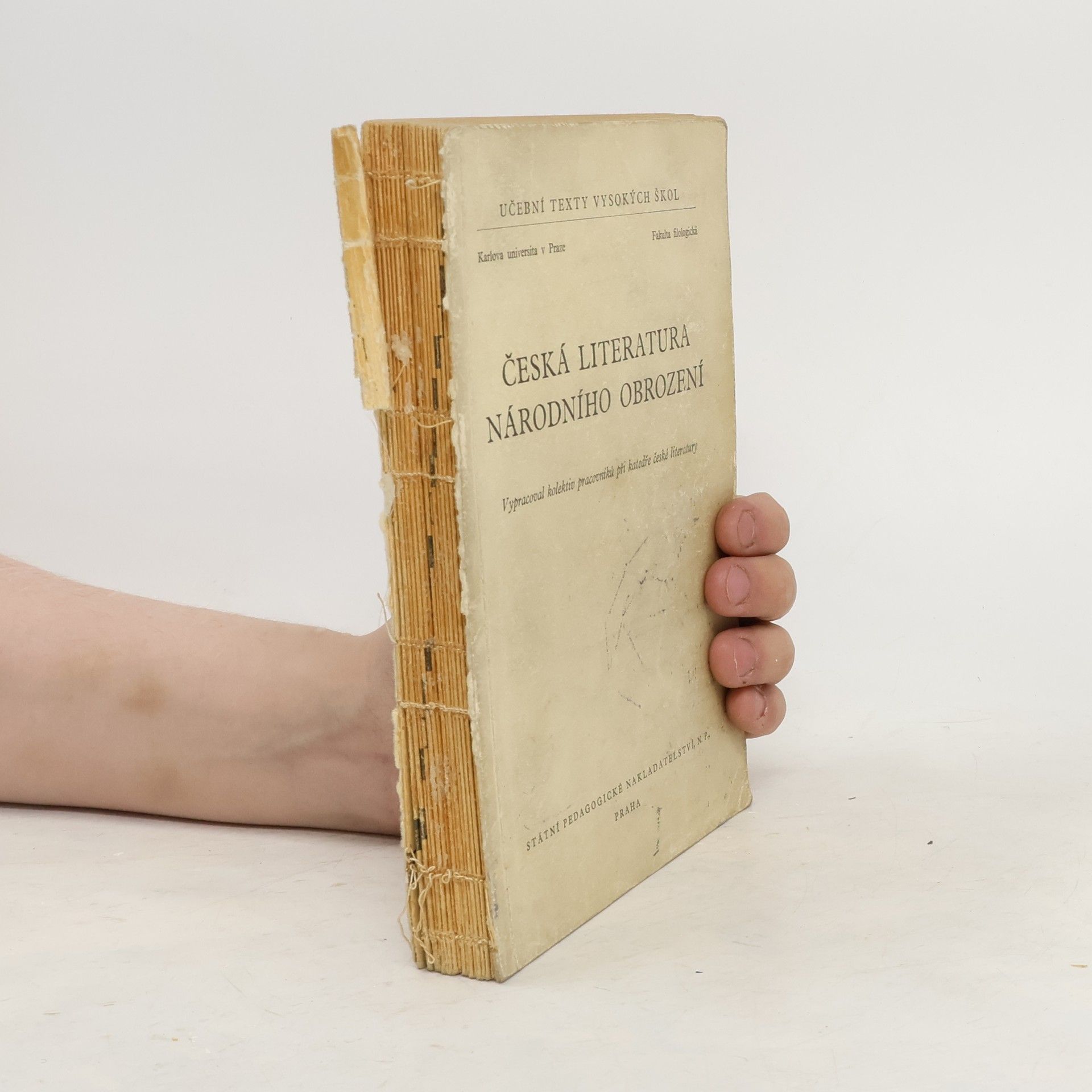 Autorenkollektiv Česká literatura národního obrození