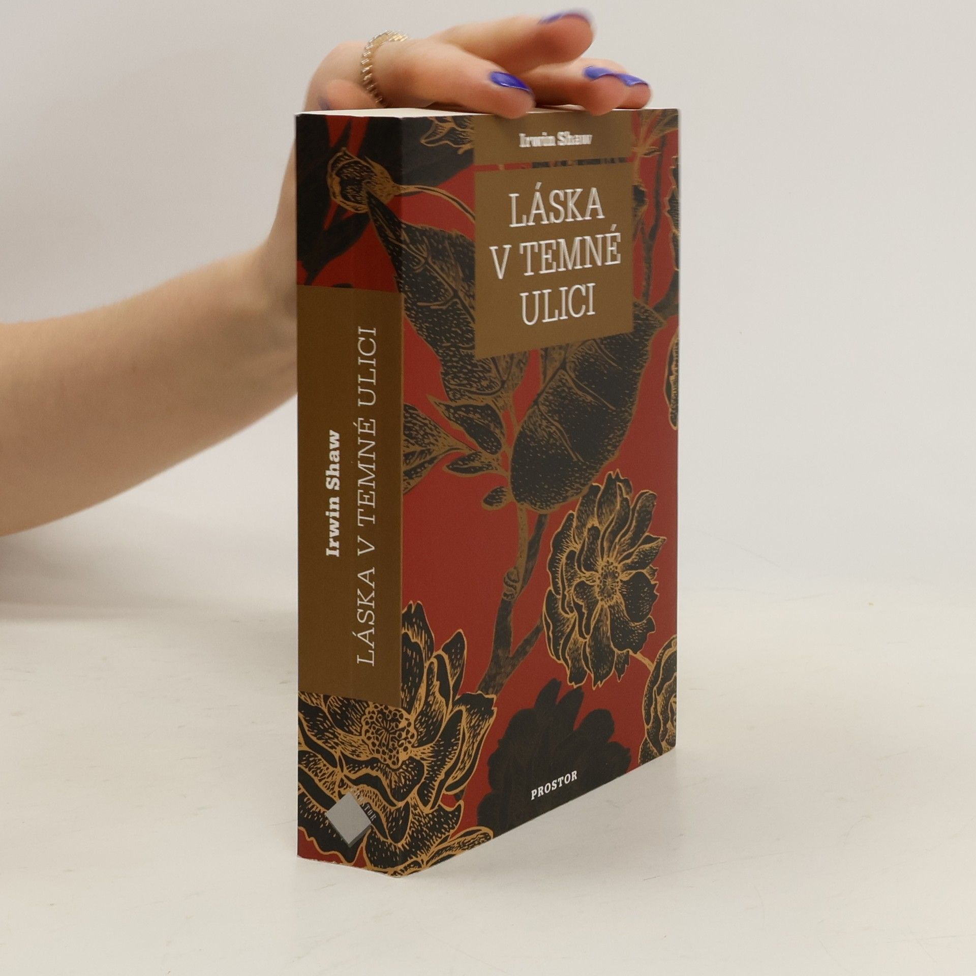 Irwin Shaw Láska v temné ulici