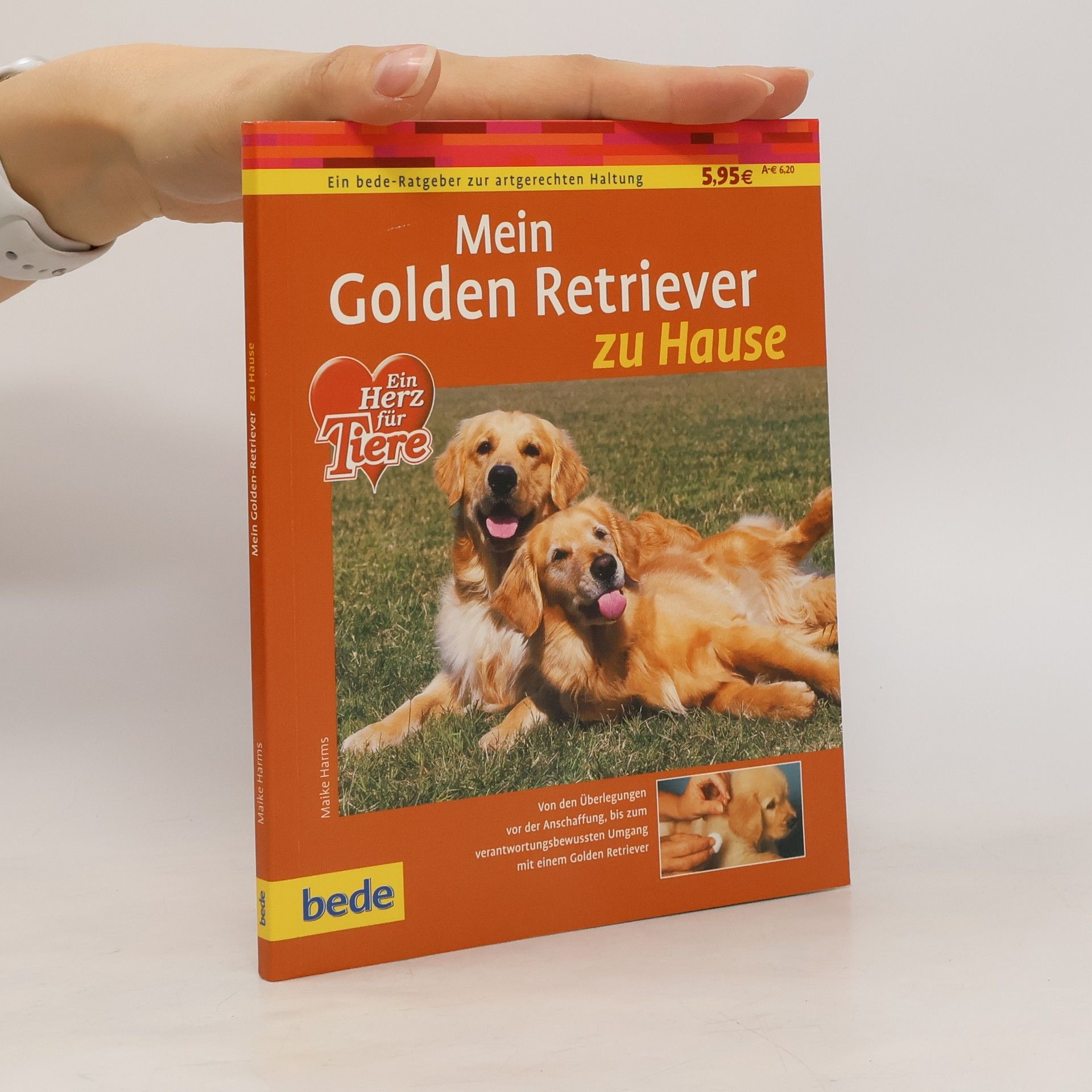 Maike Harms Mein Golden Retriever zu Hause