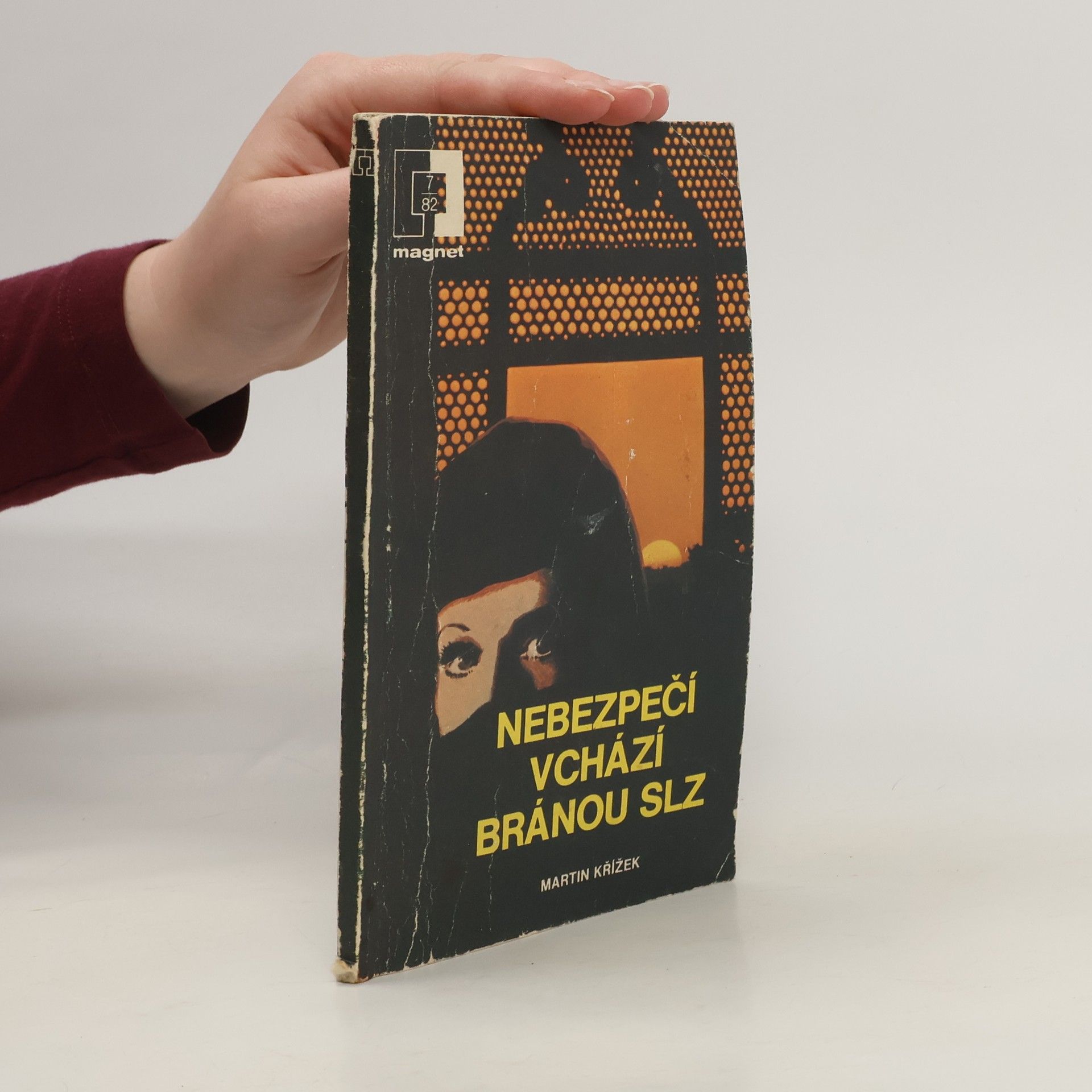 Martin Křížek Nebezpečí vchází bránou slz