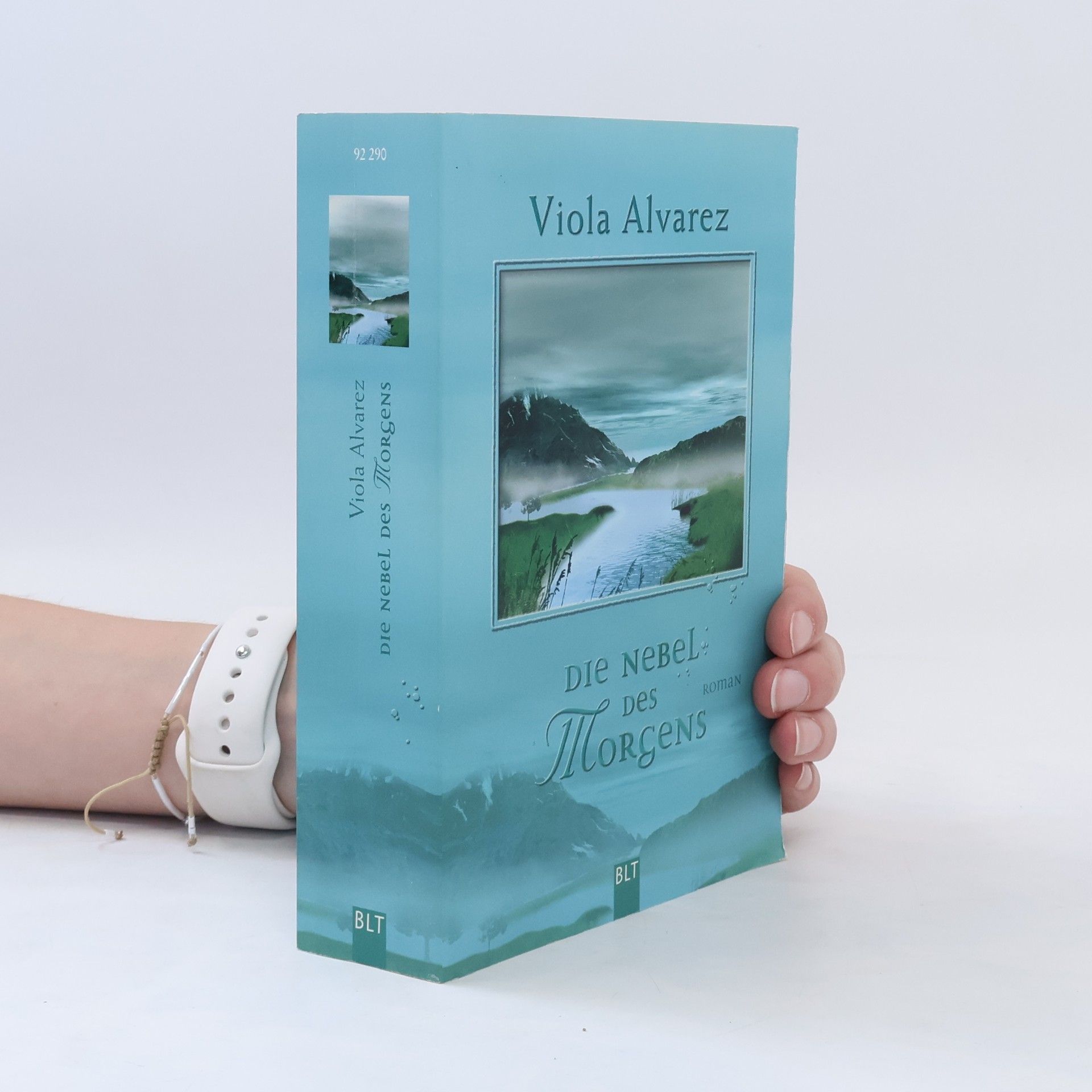 Viola Alvarez Die Nebel des Morgens