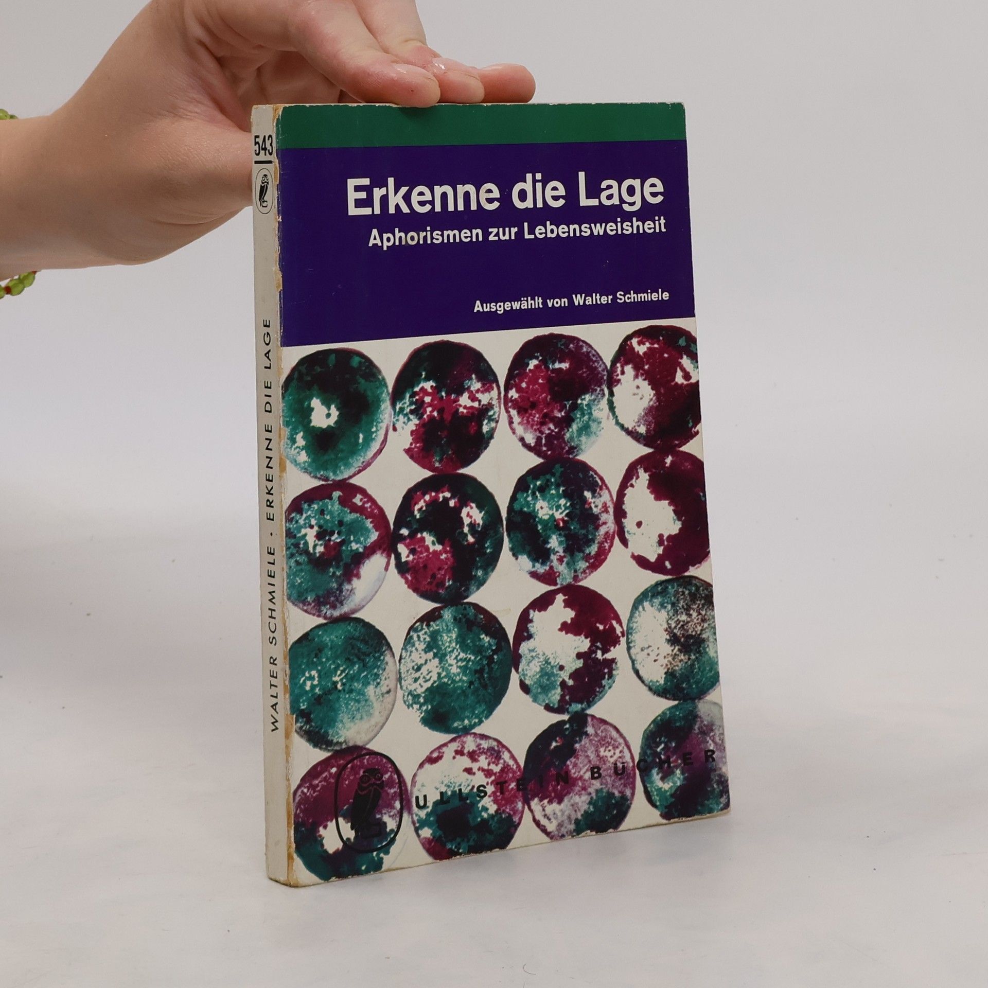 Walter Schmiele Erkenne die Lage. Aphorismen zur Lebensweisheit