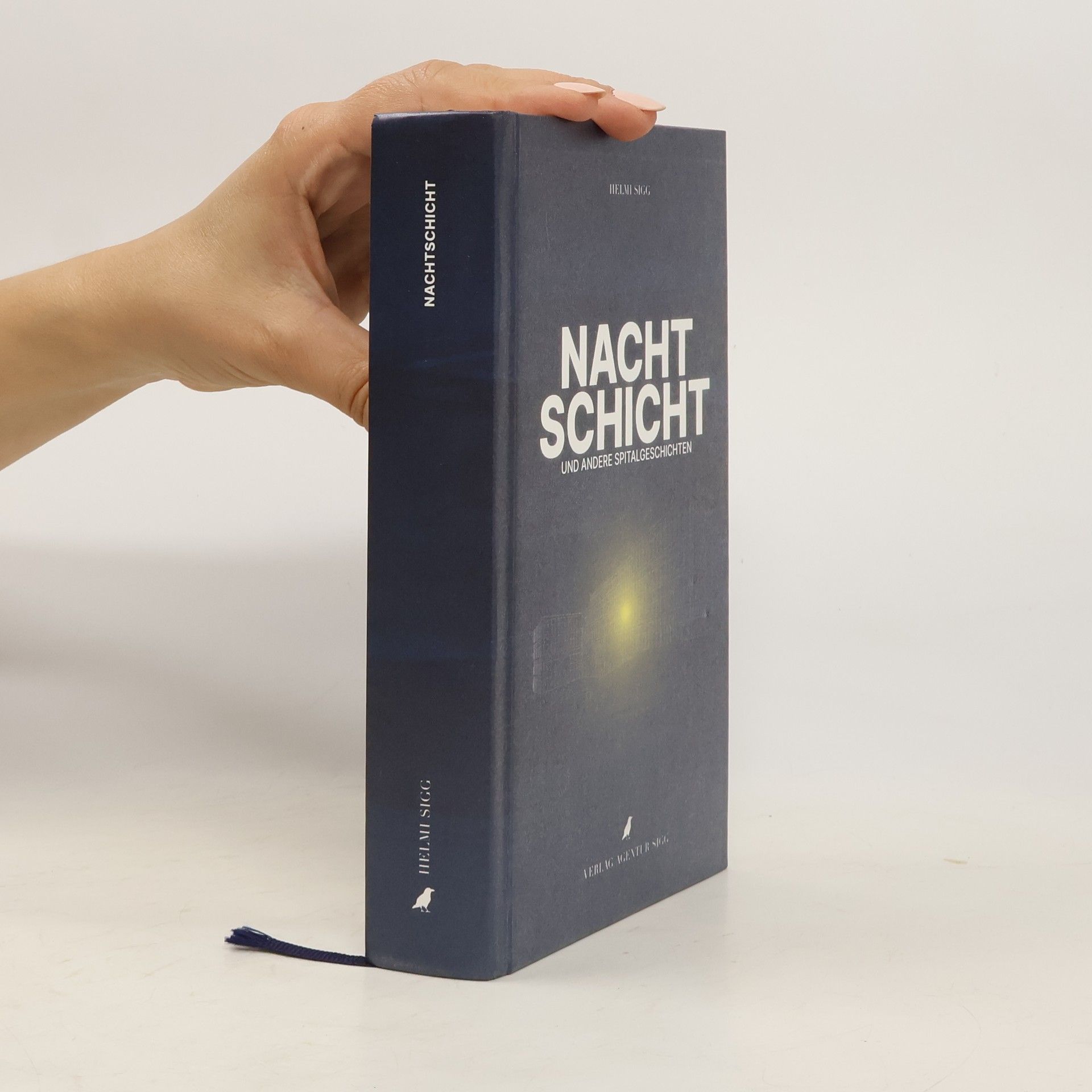 Helmi Sigg Nachtschicht und andere Spitalgeschichten