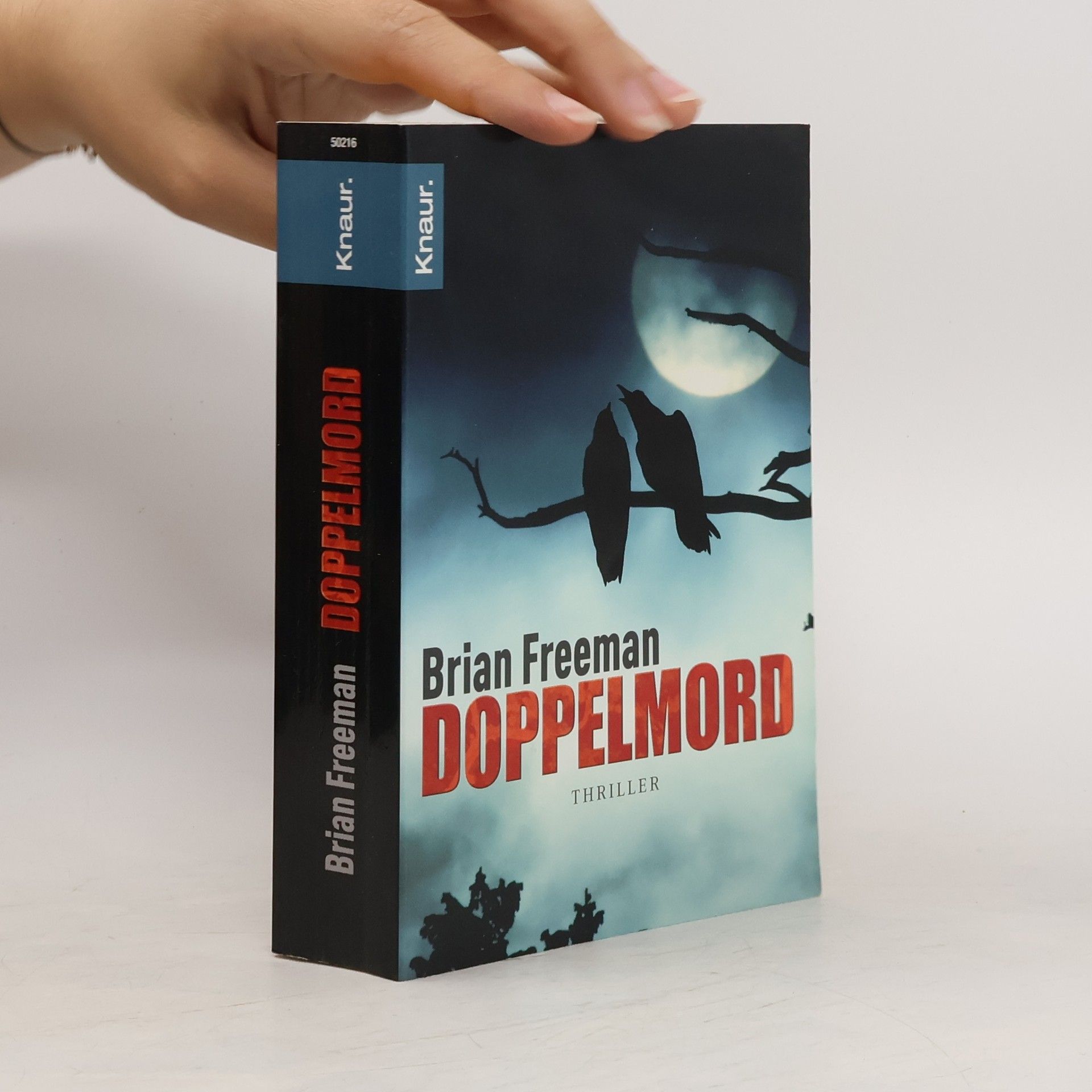 Brian Freeman Doppelmord. Thriller