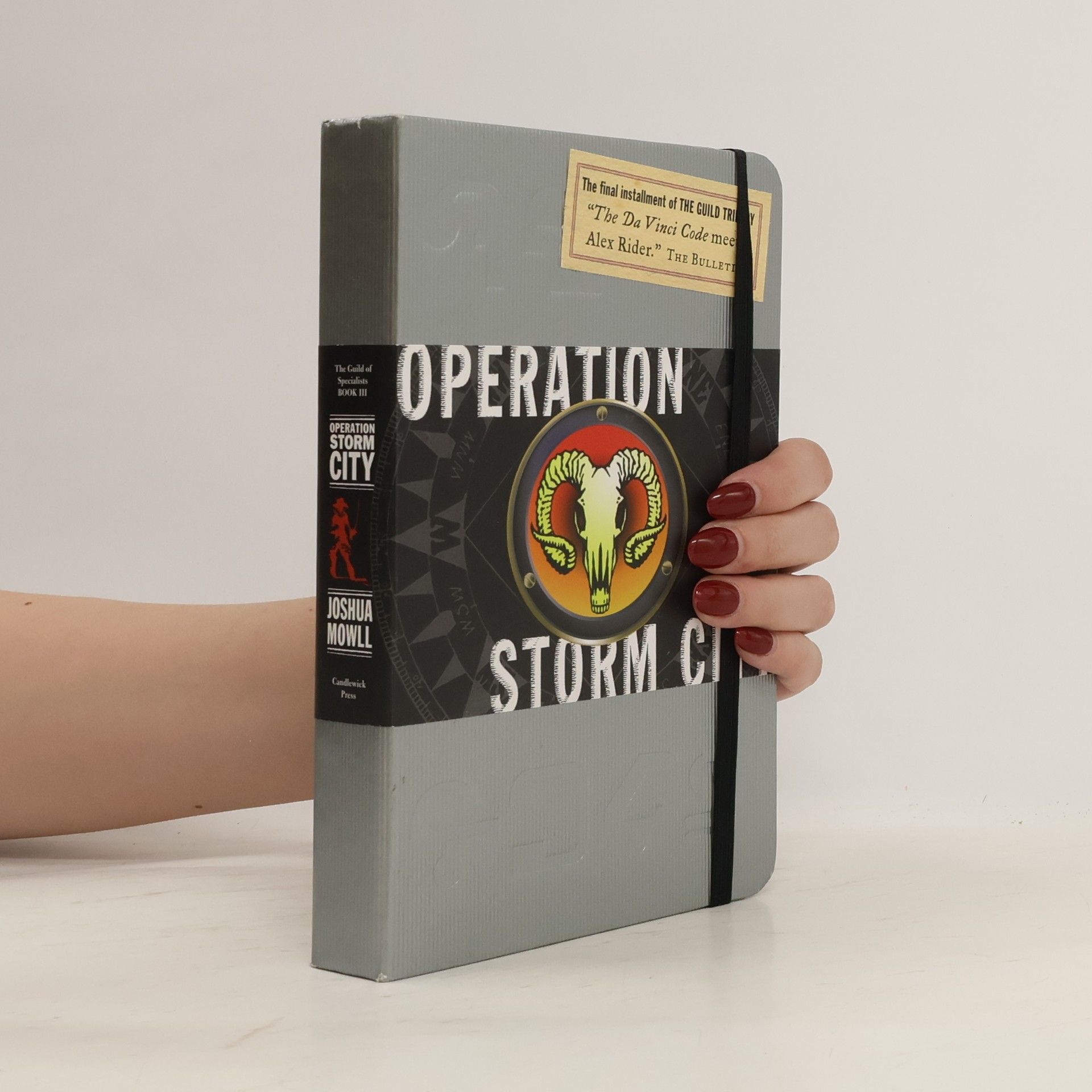Joshua Mowll Operation Storm City