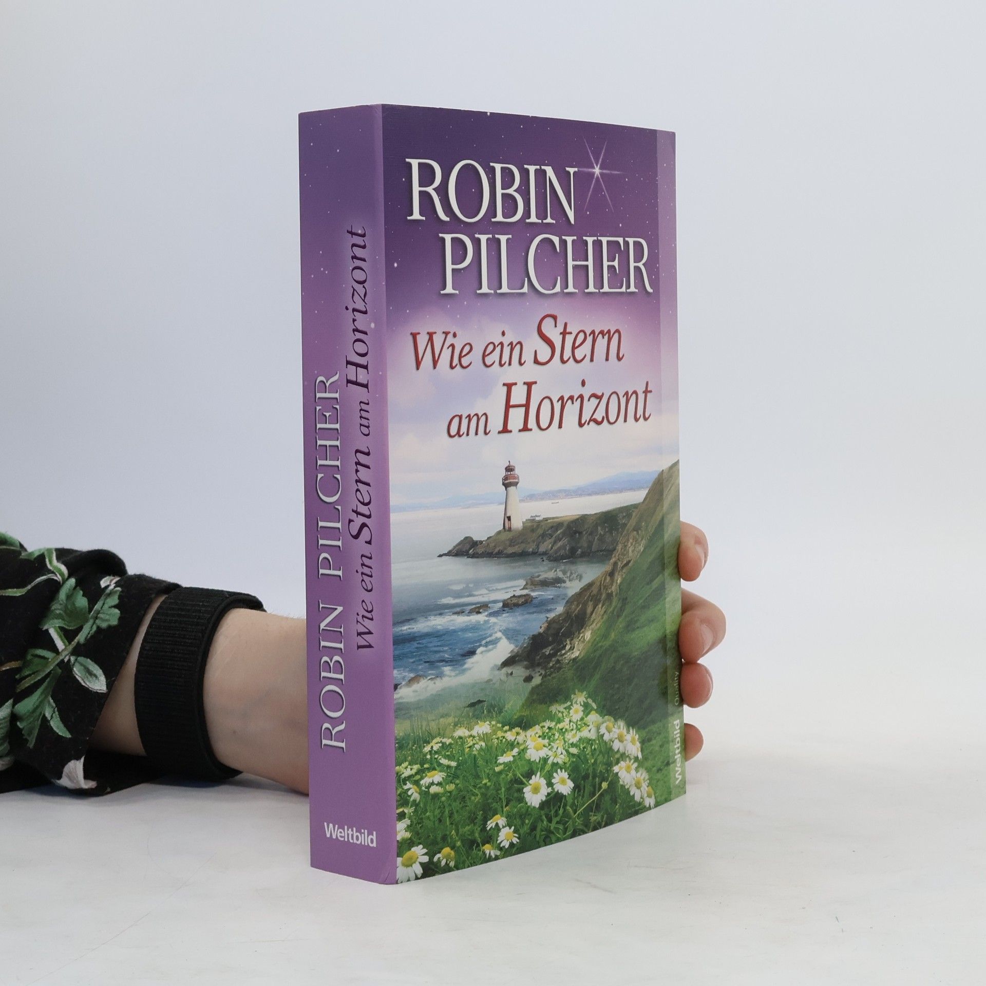 Robin Pilcher Wie ein Stern am Horizont