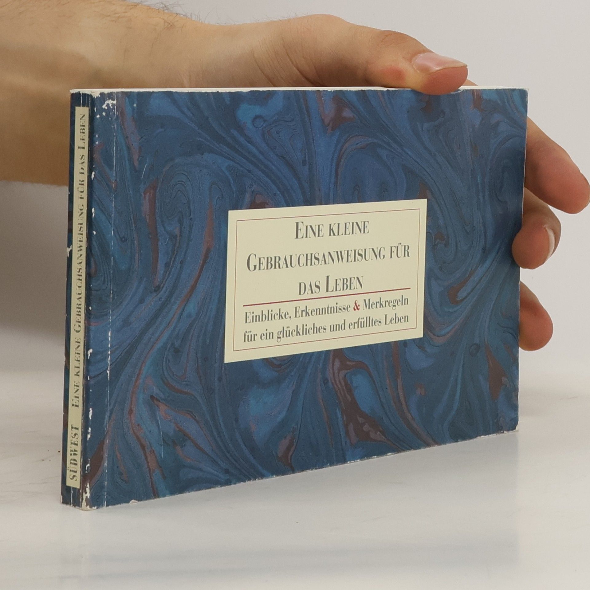 kolektiv Eine kleine Gebrauchsanweisung für das Leben