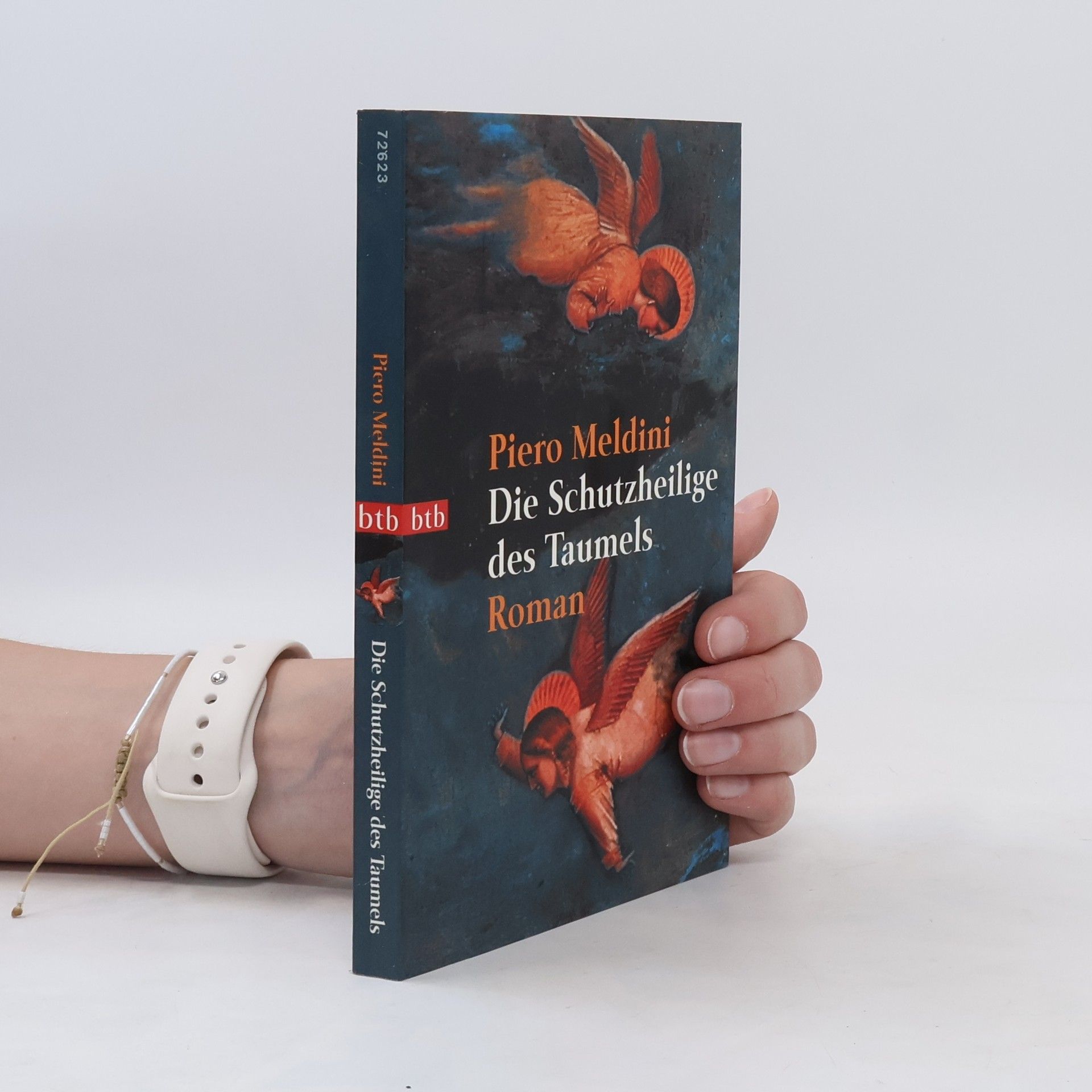 Piero Meldini Die Schutzheilige des Taumels