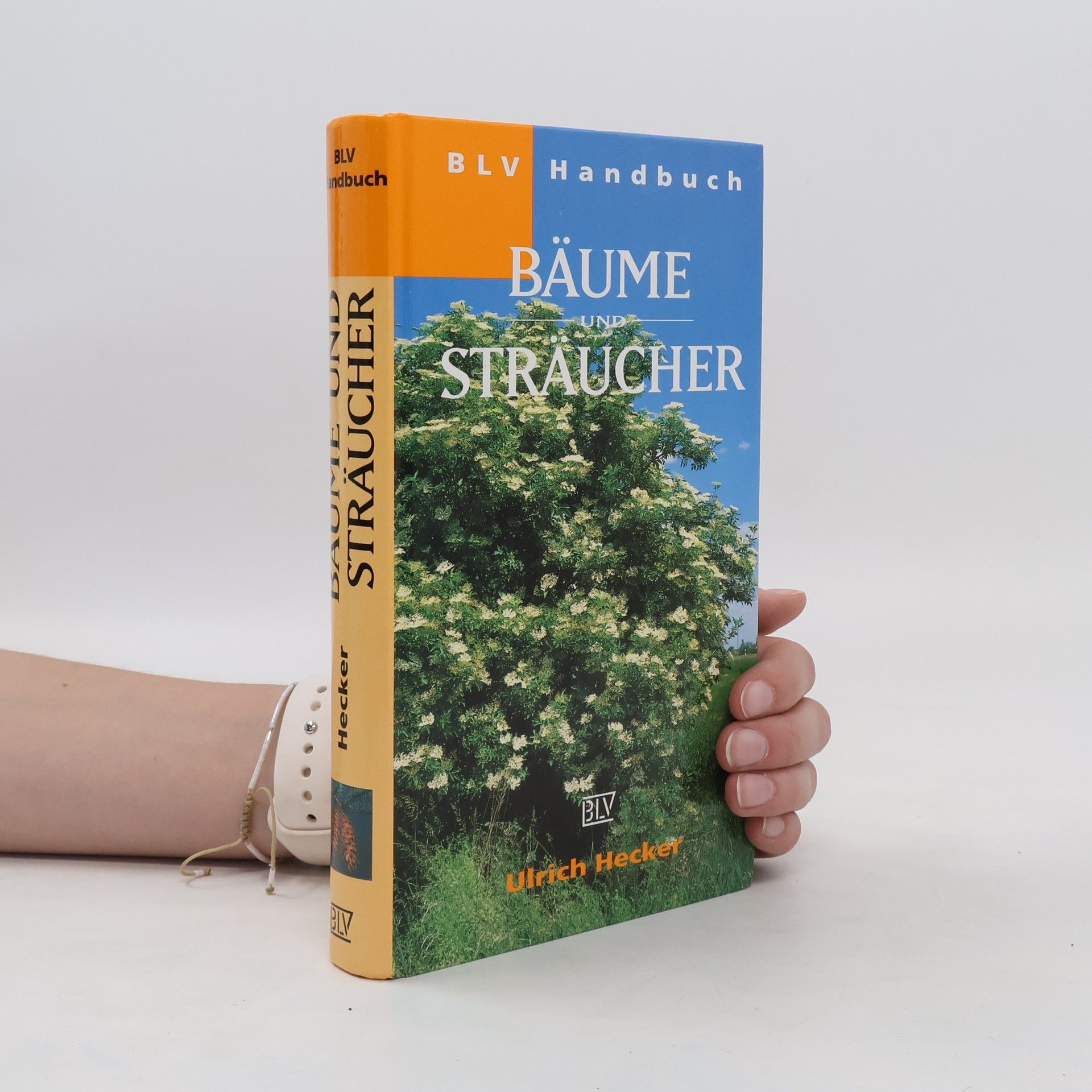 Hans-Ulrich Hecker BLV-Handbuch Bäume und Sträucher