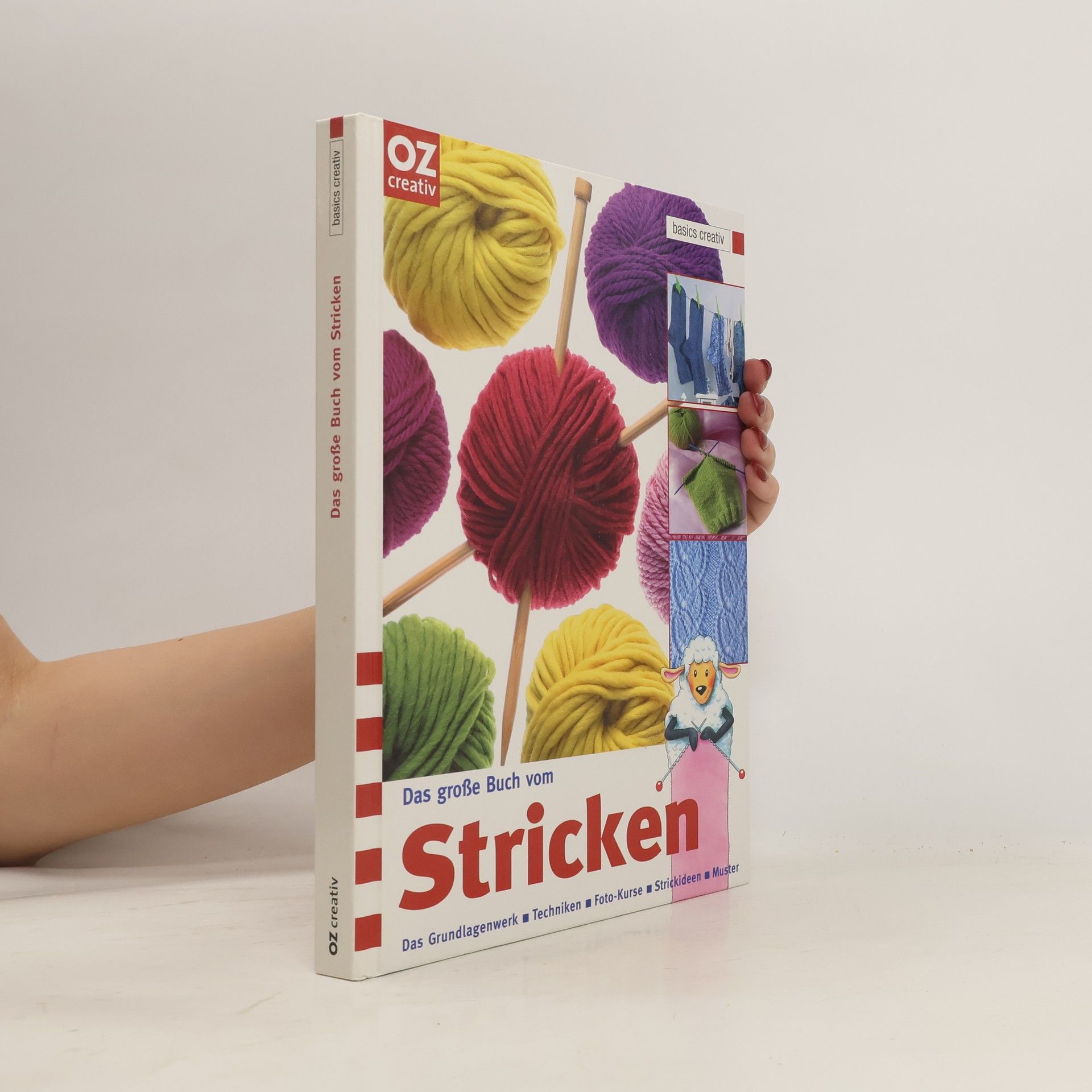 Janne Graf Das große Buch vom Stricken