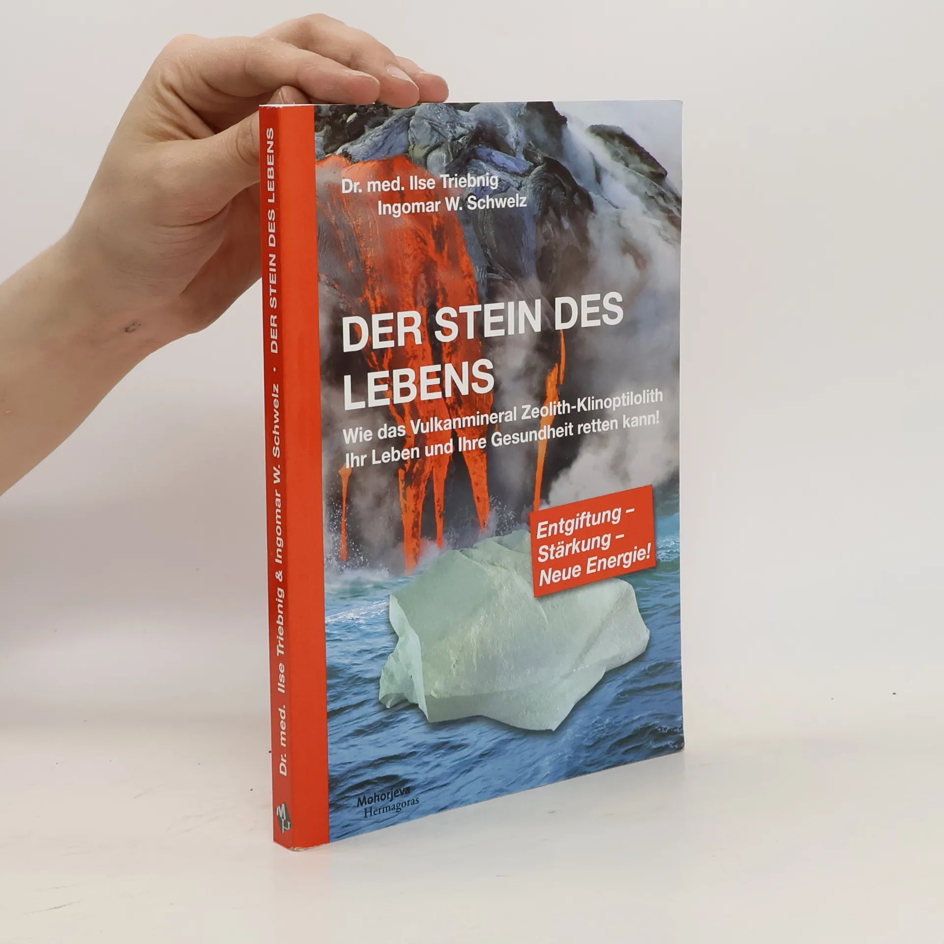 Der Stein des Lebens | Book | Ilse Triebnig | DE