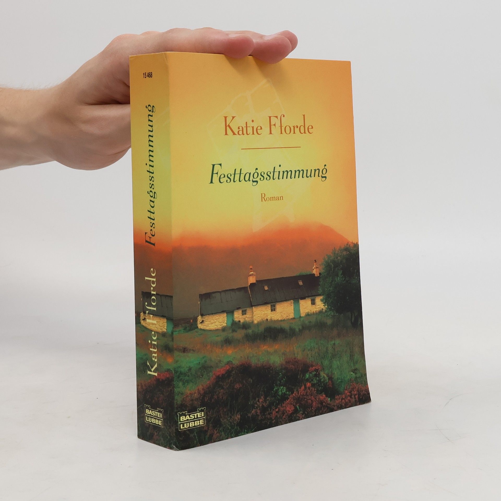 Katie Fforde Festtagsstimmung