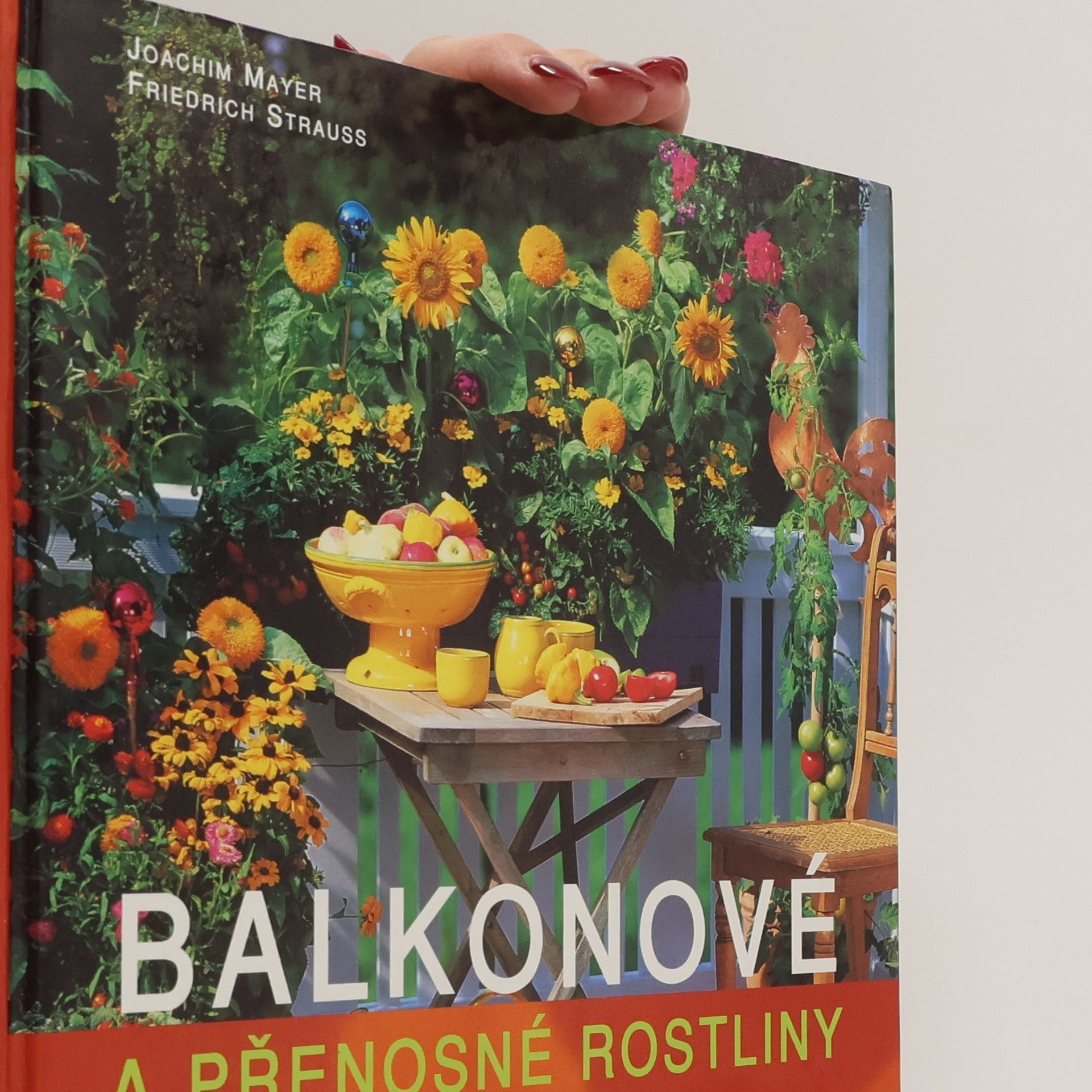 Joachim Mayer Balkonové a přenosné rostliny