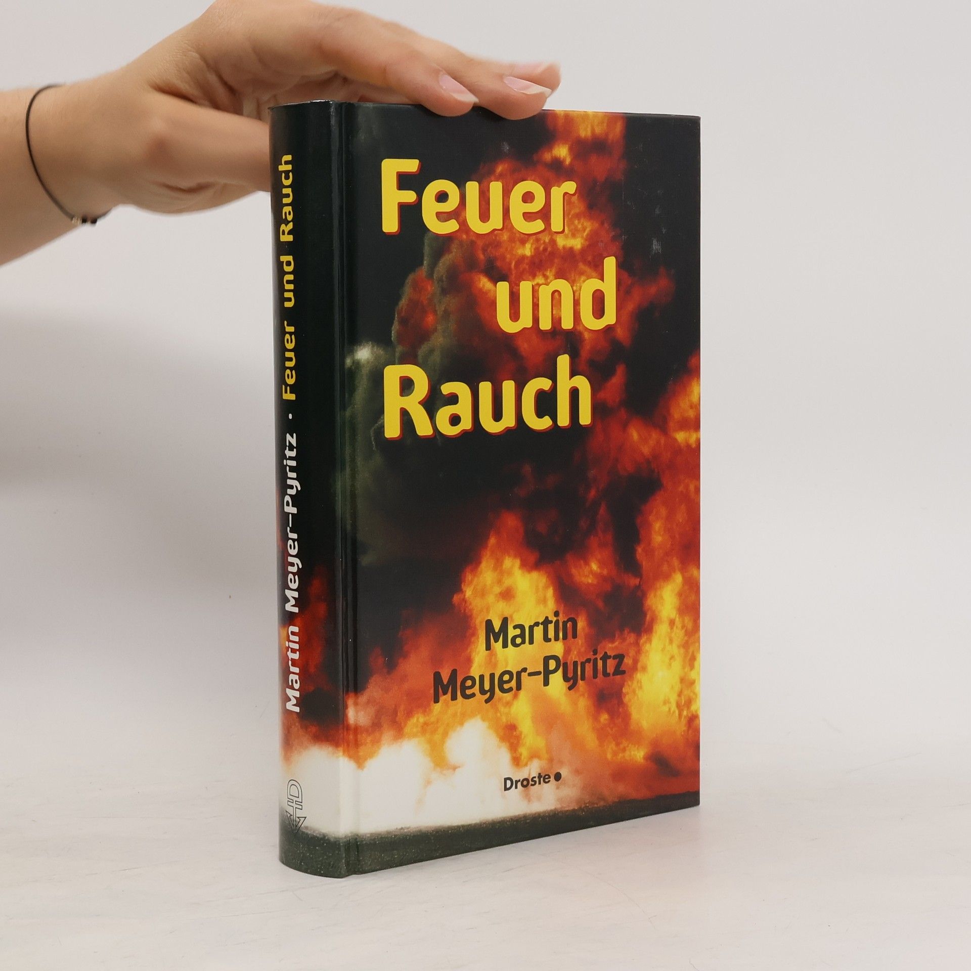 Martin Meyer-Pyritz Feuer und Rauch