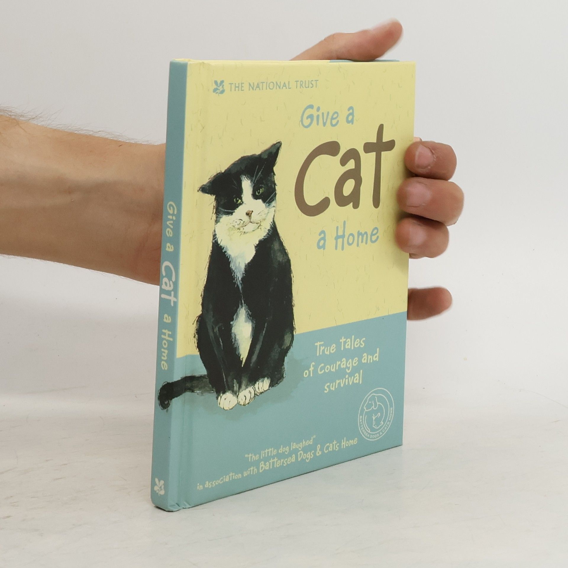 Anna Danielle Give a Cat a Home