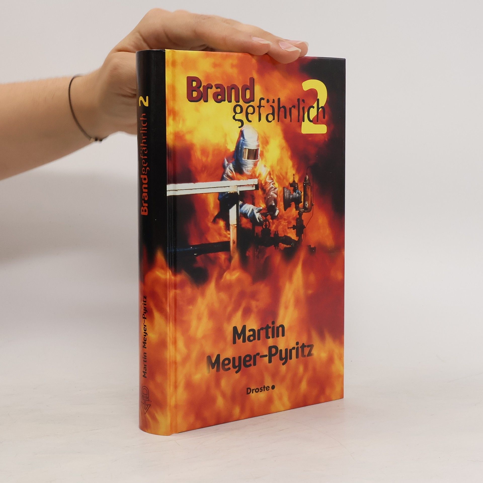 Martin Meyer Pyritz Brandgefährlich 2