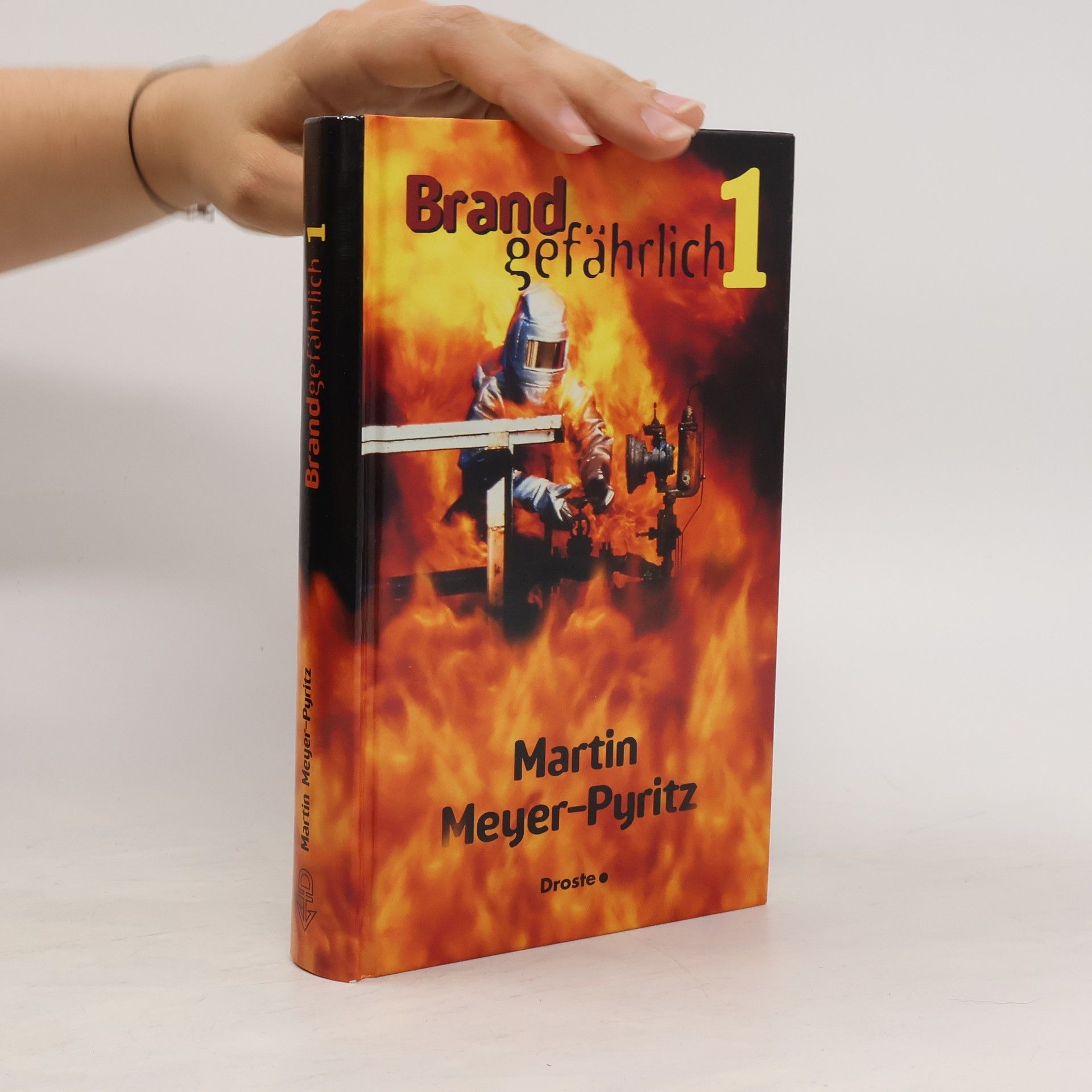 Martin Meyer-Pyritz Brandgefährlich 1
