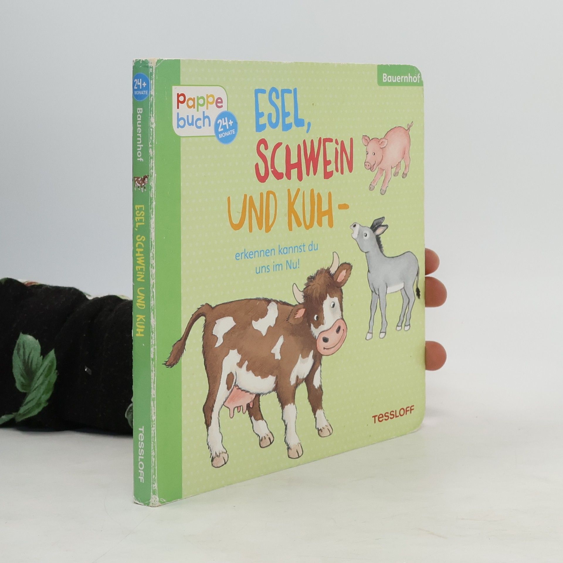 Hannah Fleßner Esel, Schwein und Kuh - erkennen kannst du uns im Nu!