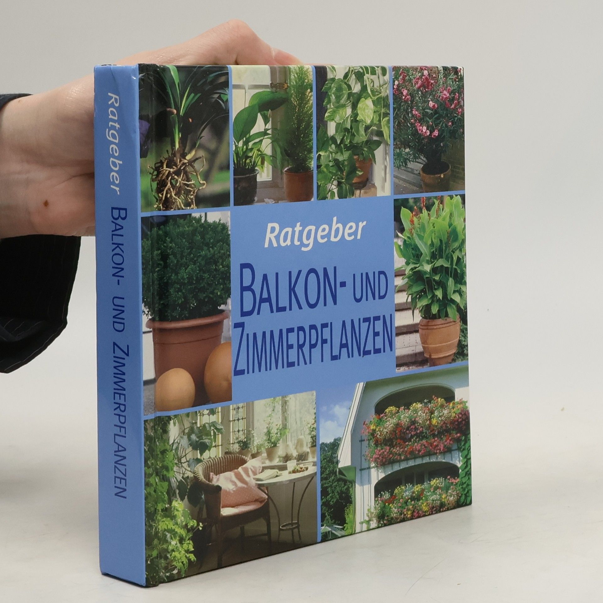 Andrea Rausch Ratgeber Balkon- und Zimmerpflanzen