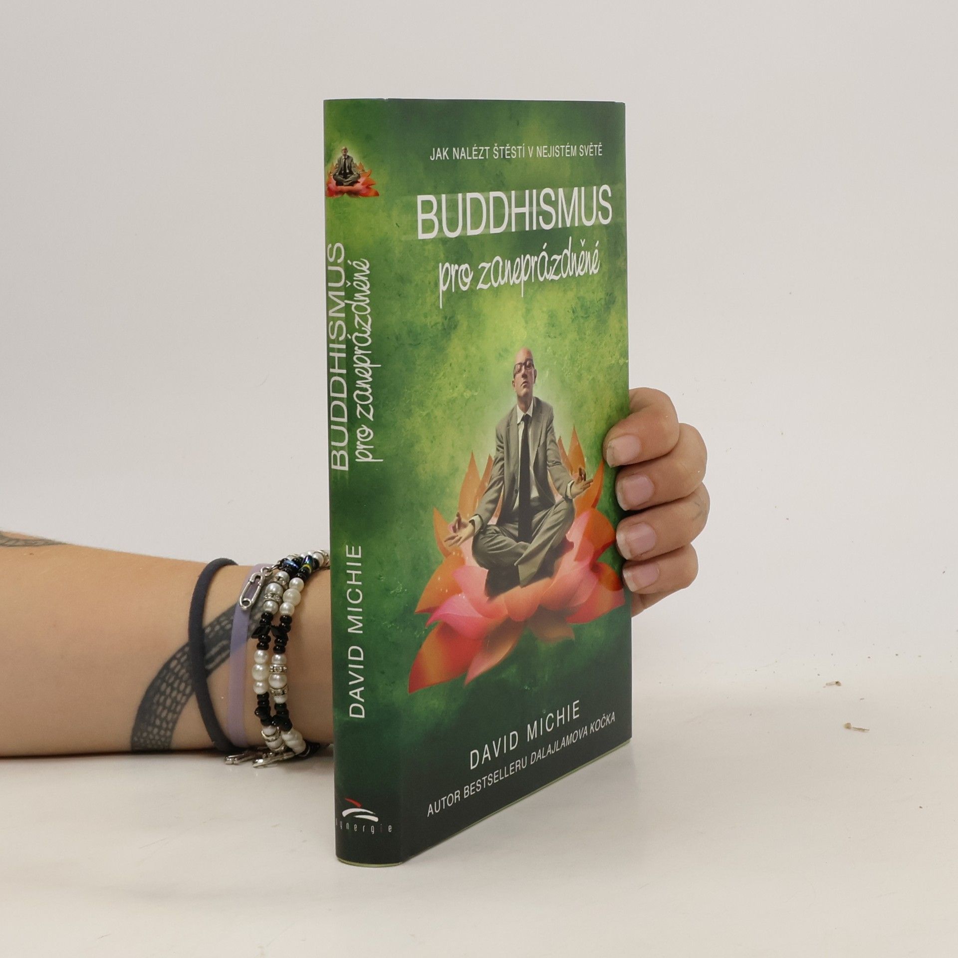 David Michie Buddhismus pro zaneprázdněné