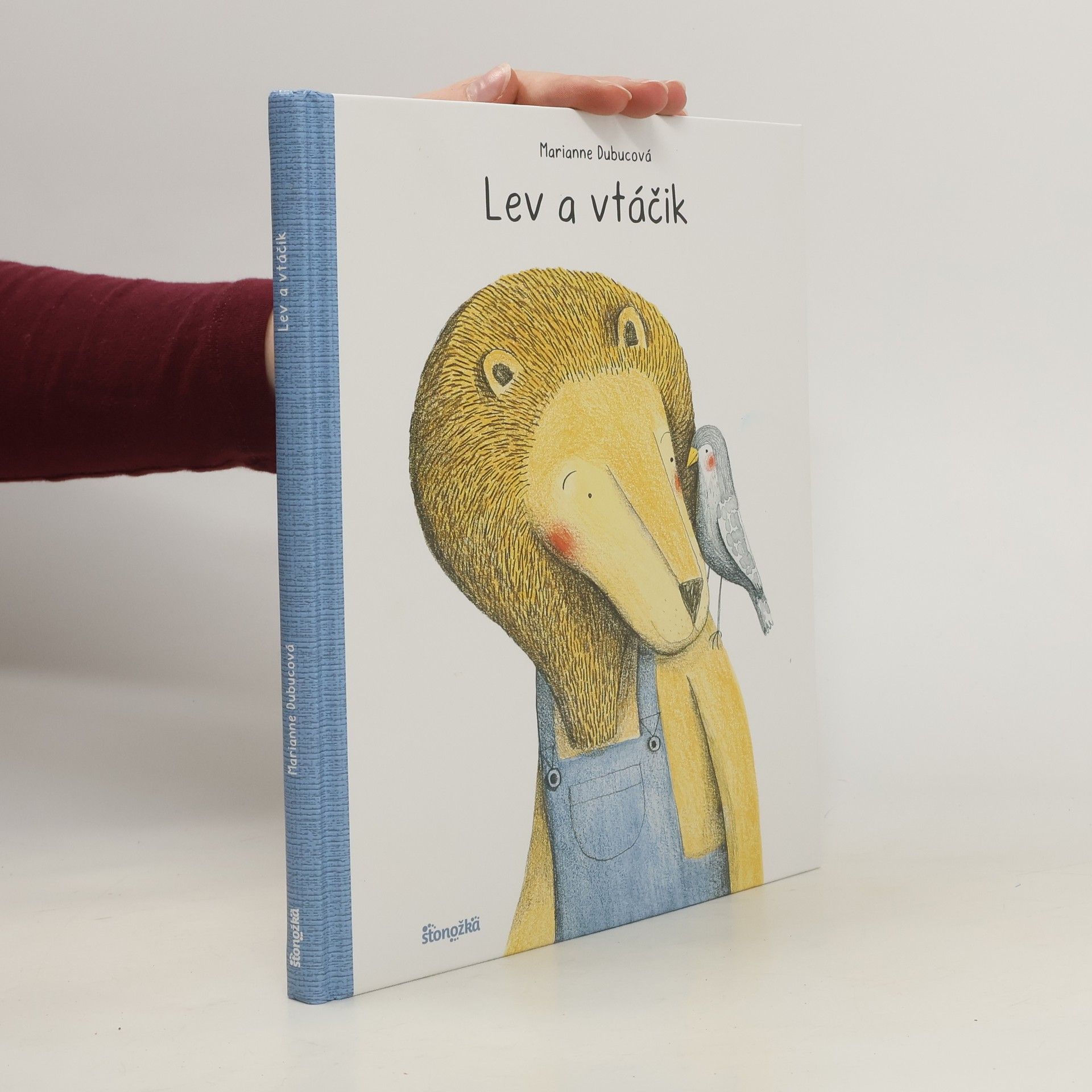 Marianne Dubuc Lev a vtáčik