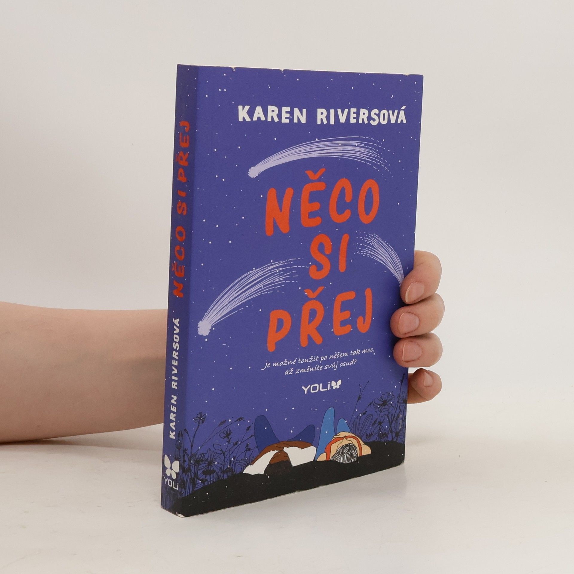 Karen Rivers Něco si přej