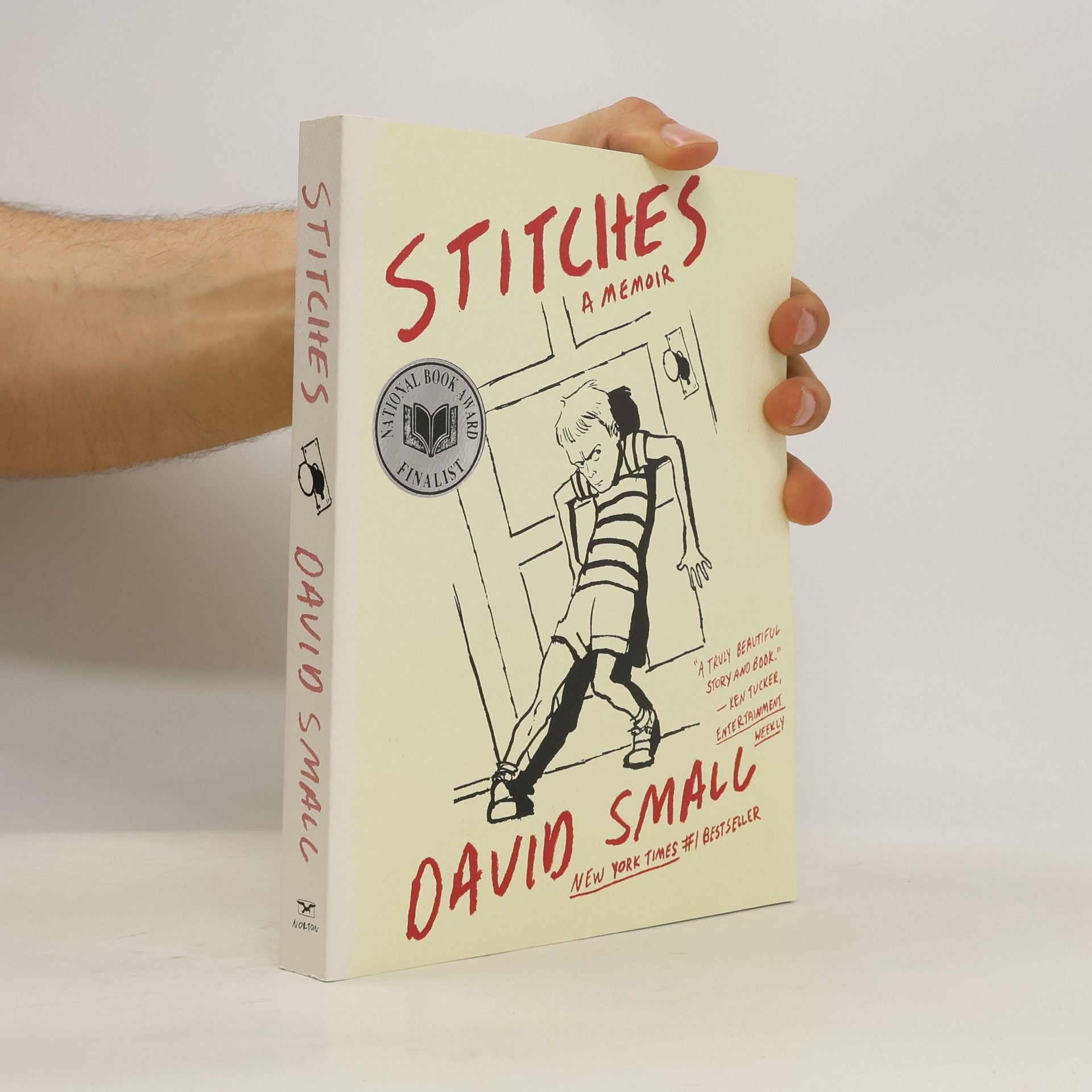 David Small Stitches. Stiche, englische Ausgabe
