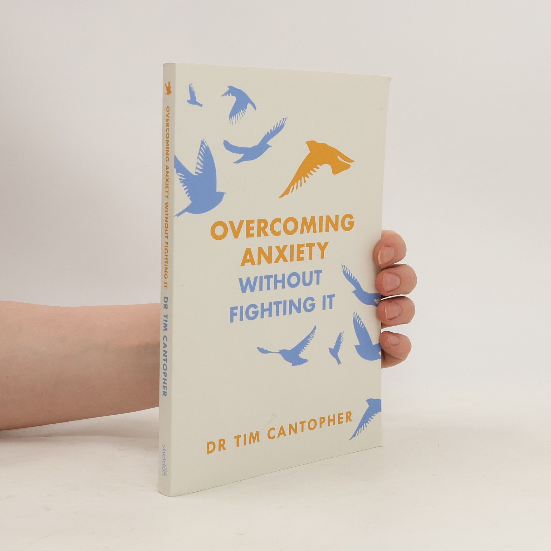 Tim Cantopher Overcoming Anxiety Without Fighting It