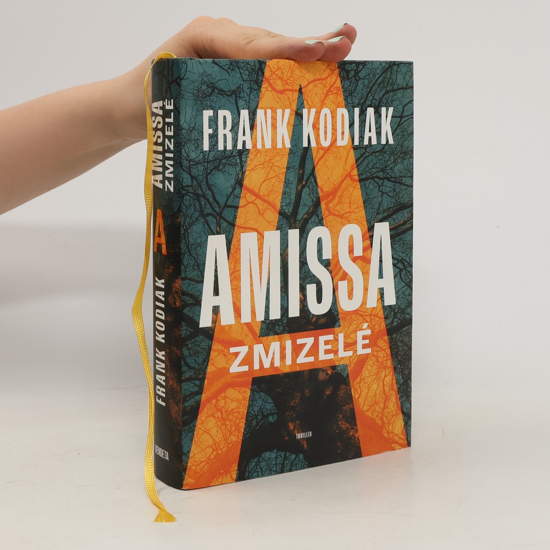 Hendrik Winter Amissa. Zmizelé