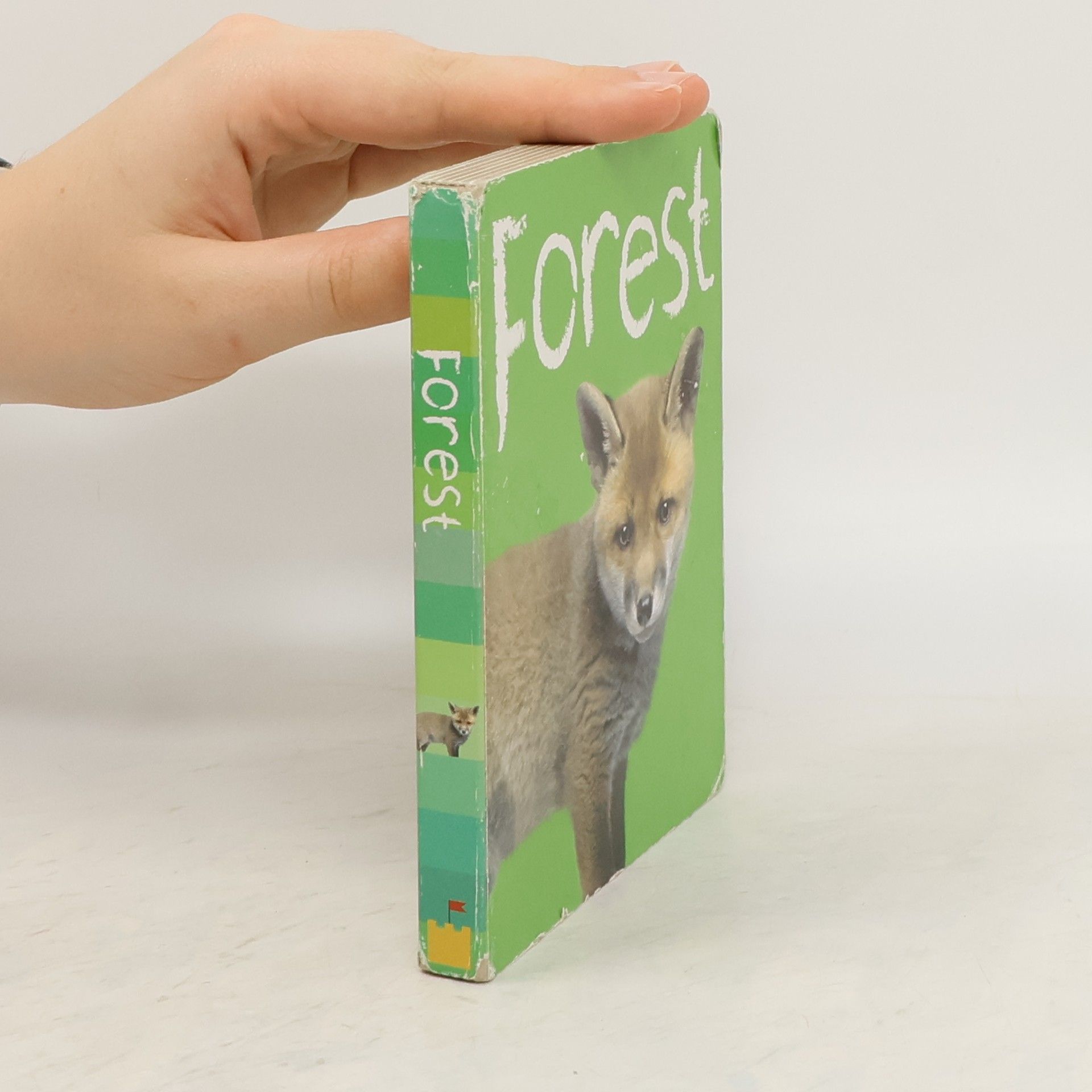 Various authors Forest