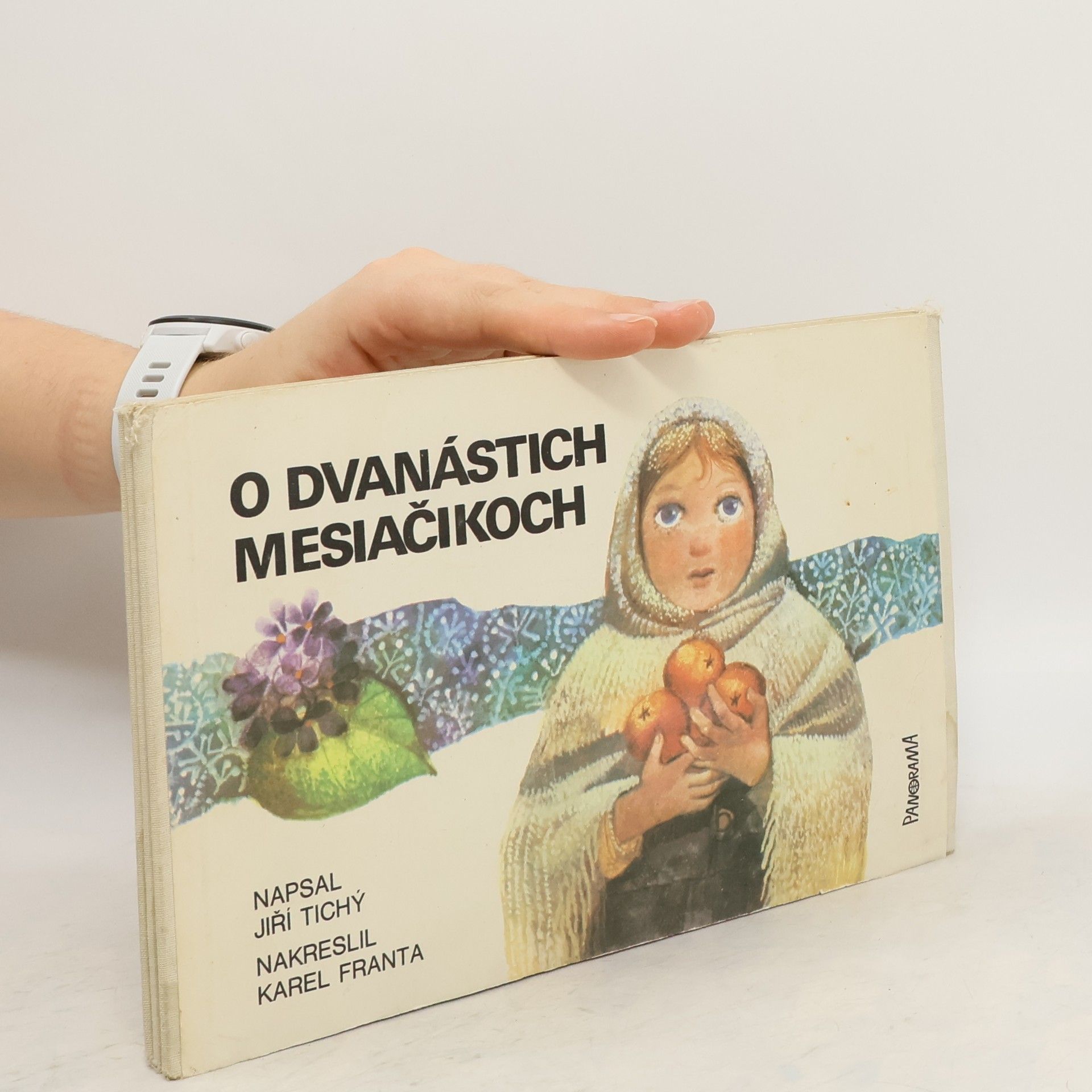 Jiri Tichy O dvanástich mesiačikoch
