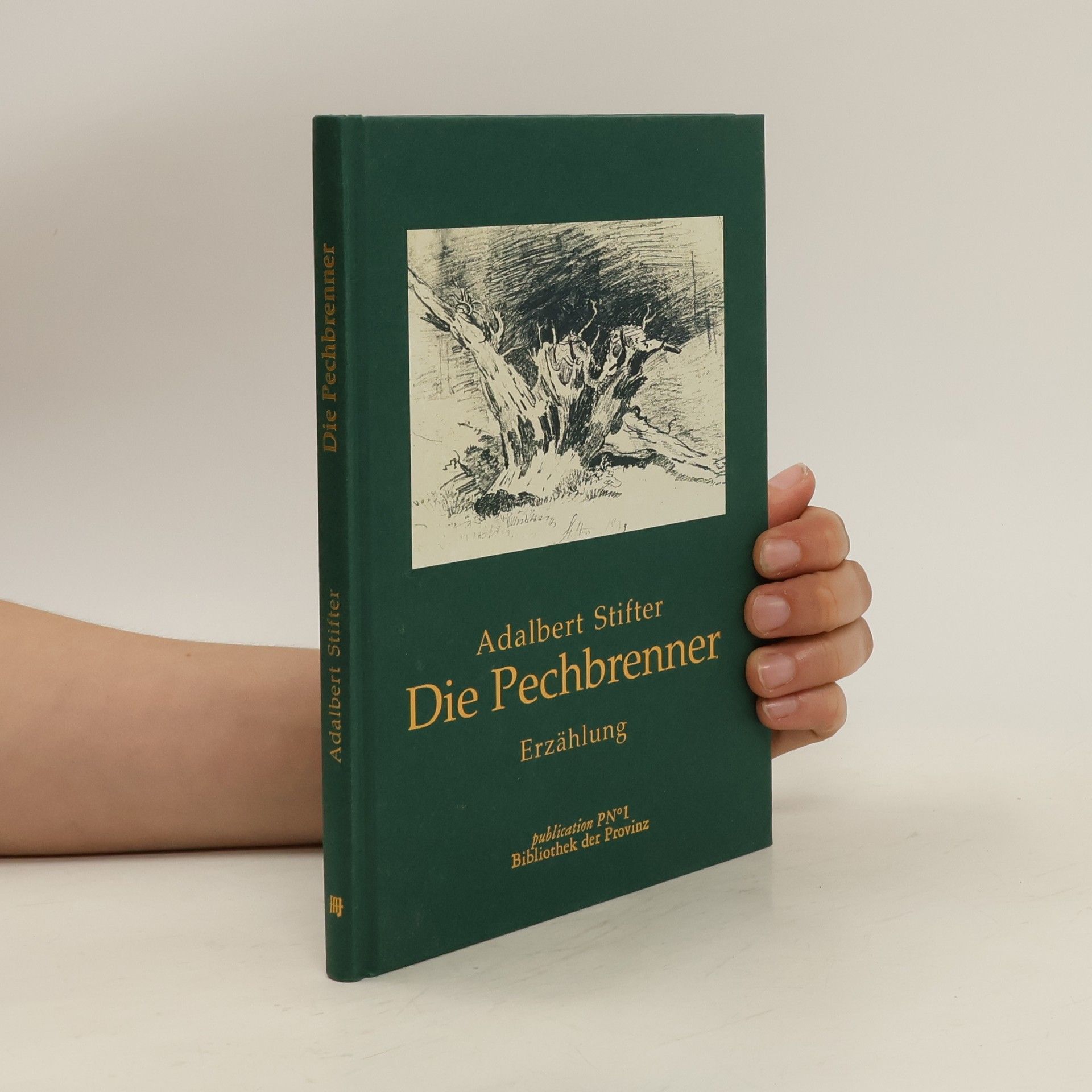 Adalbert Stifter Die Pechbrenner