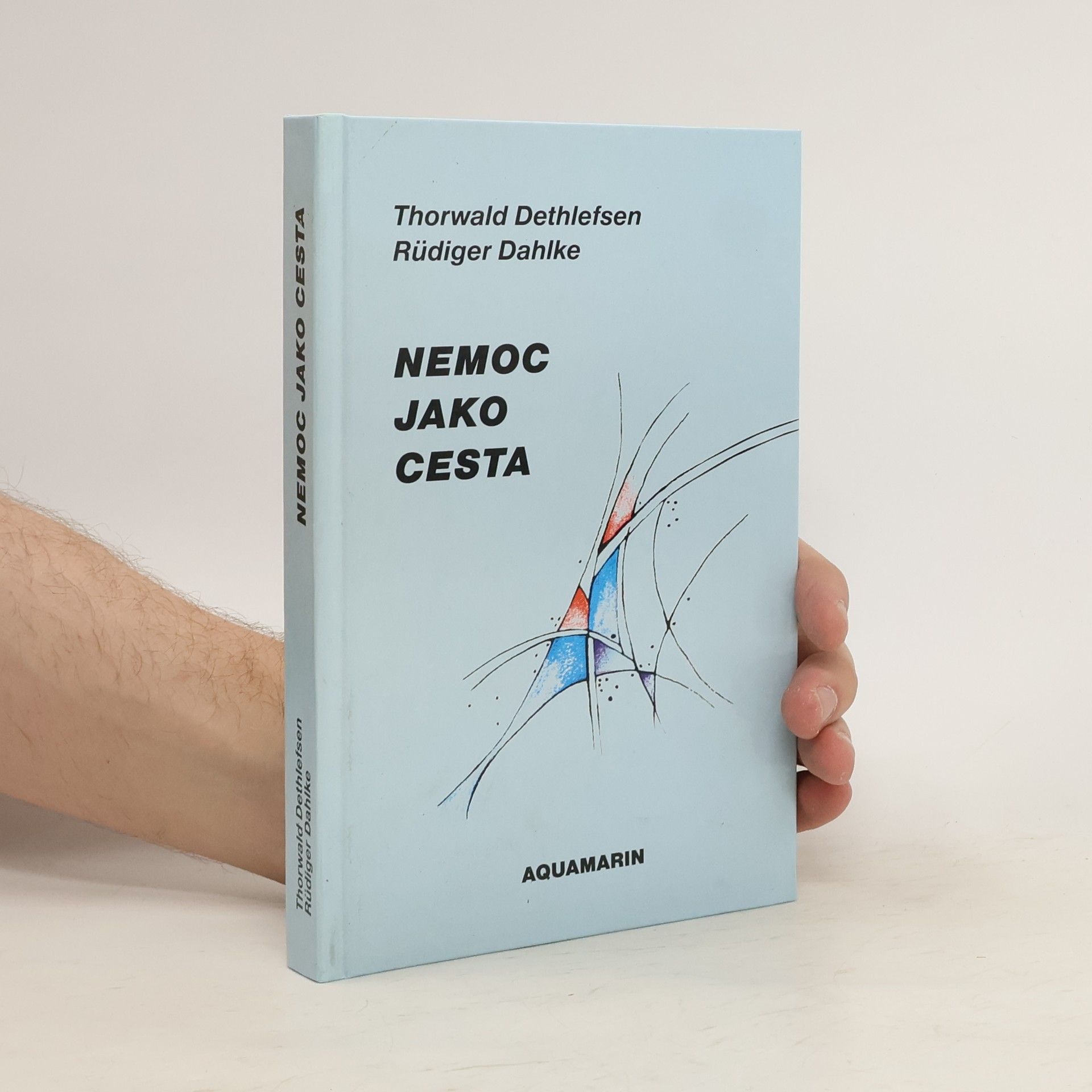 Thorwald Dethlefsen Nemoc jako cesta