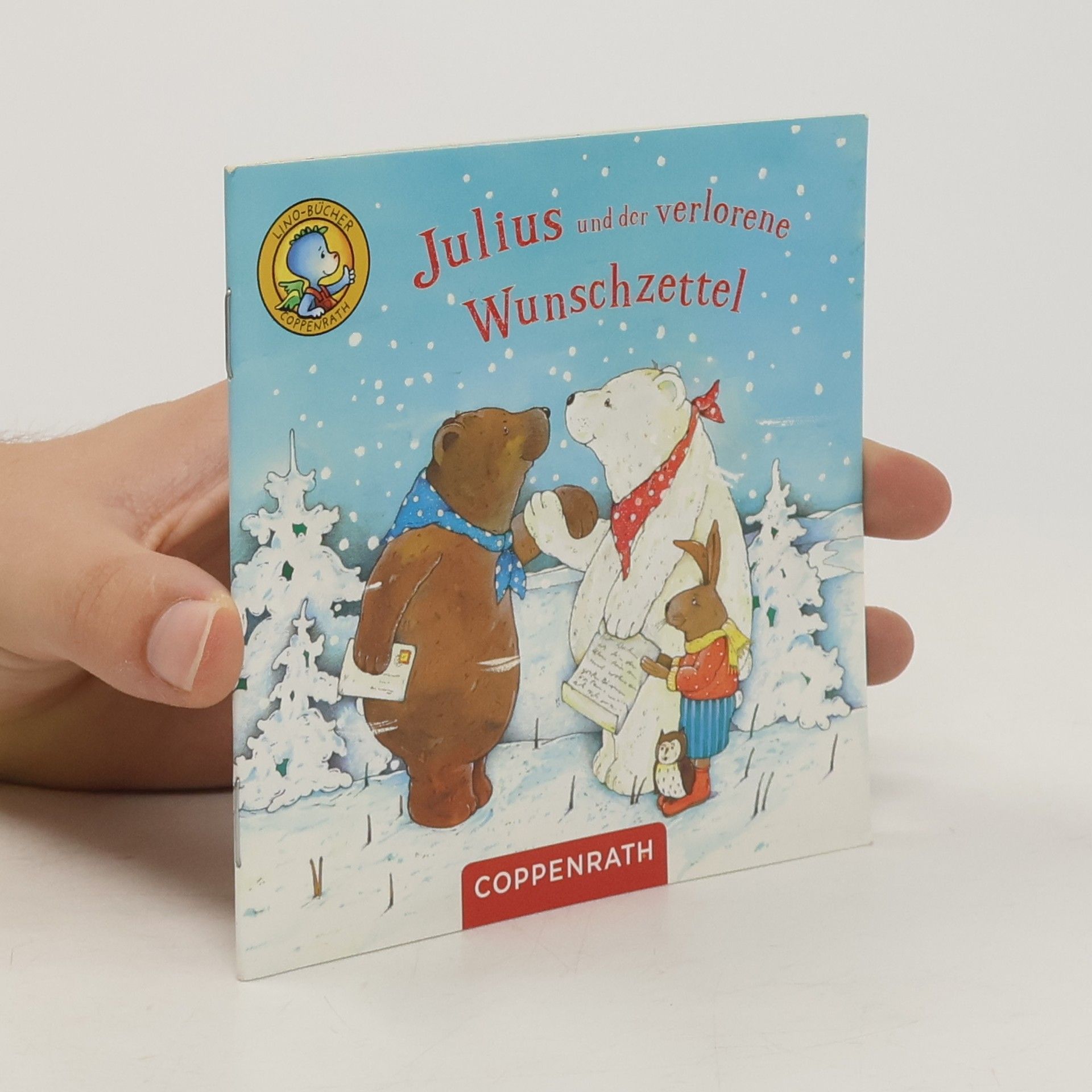 Nicola Dröge Julius und der verlorene Wunschzettel