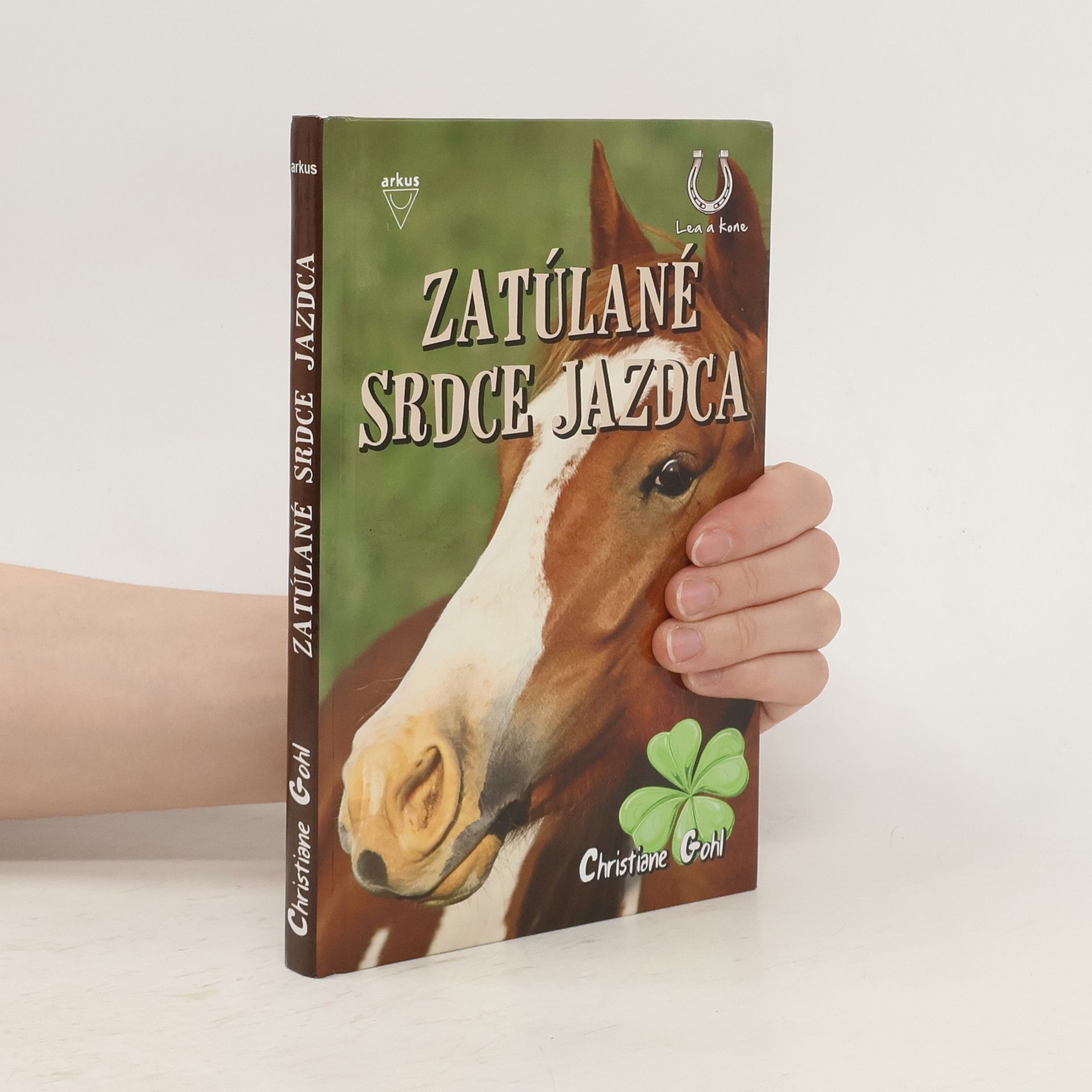 Christiane Gohl Zatúlané srdce jazdca