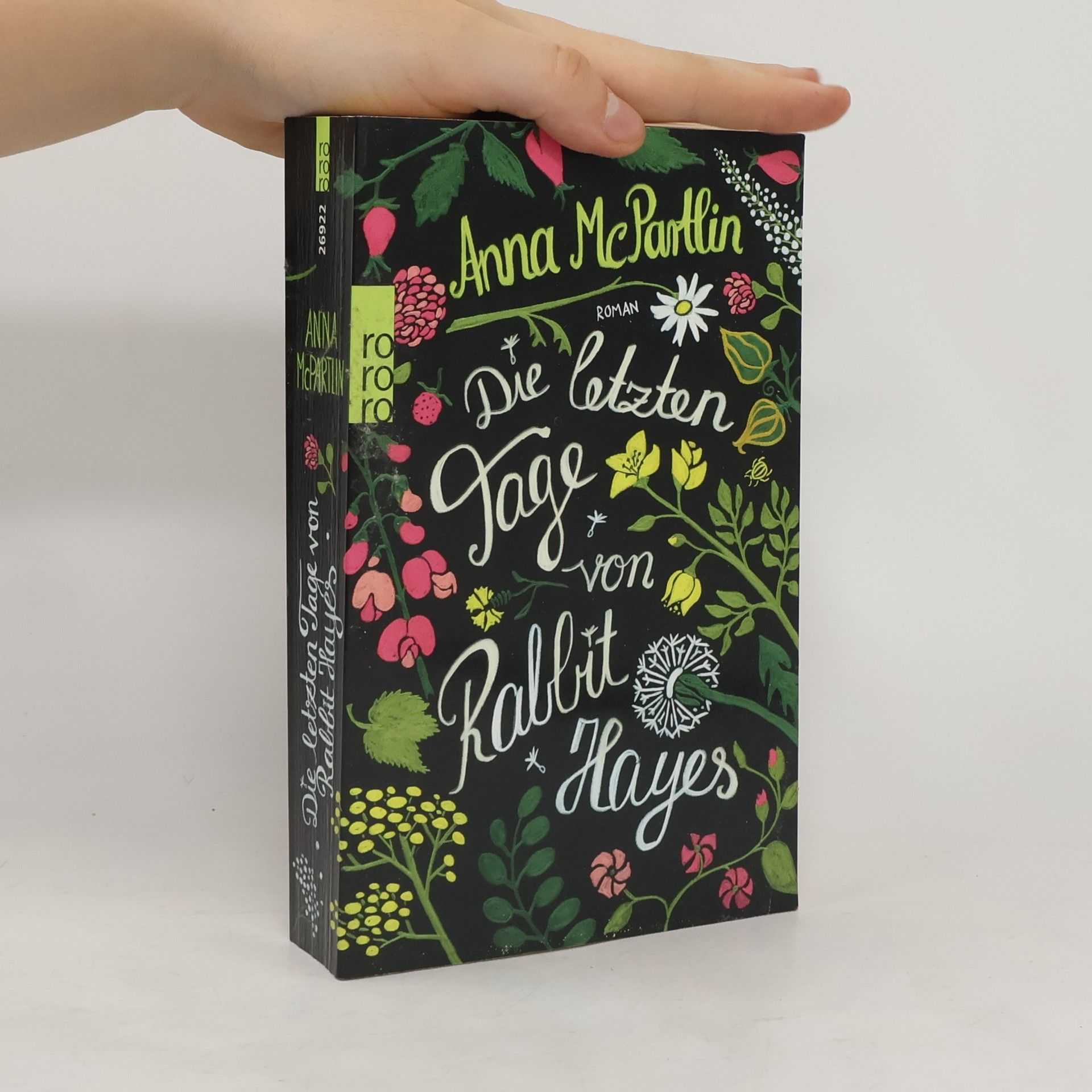 Anna McPartlin Die letzten Tage von Rabbit Hayes