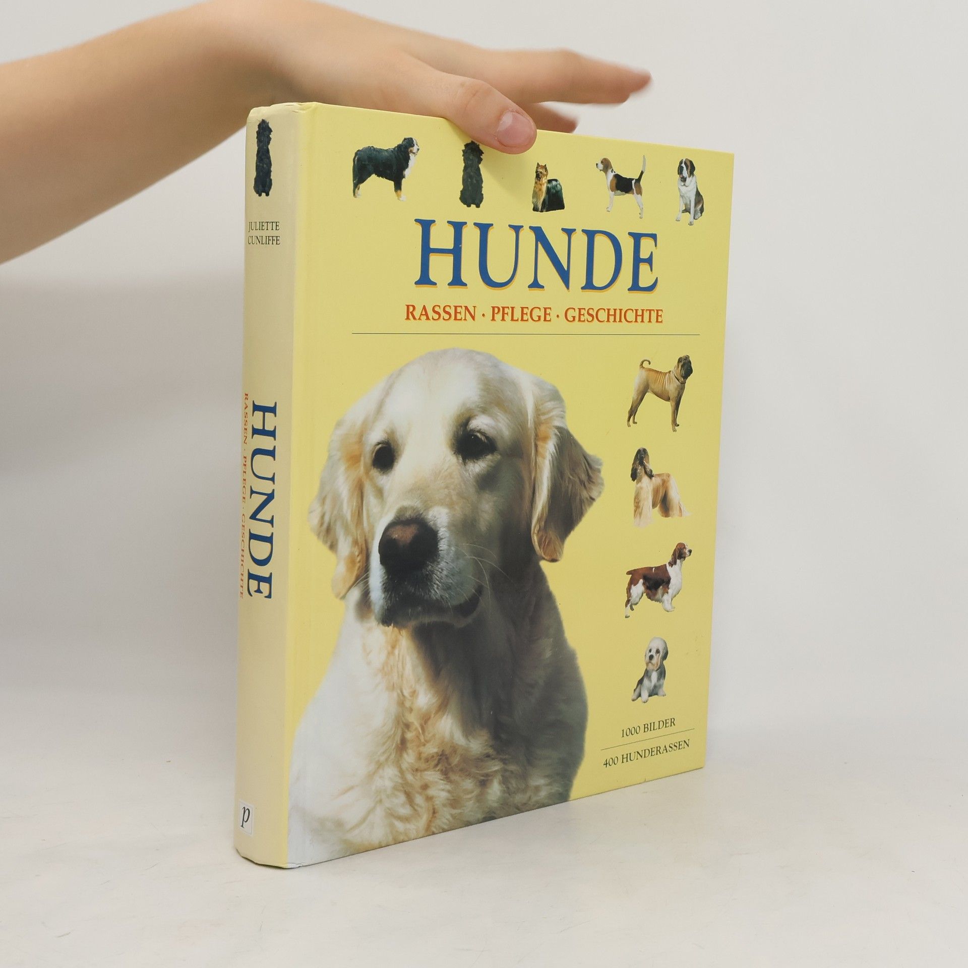 Autorenkollektiv Hunde