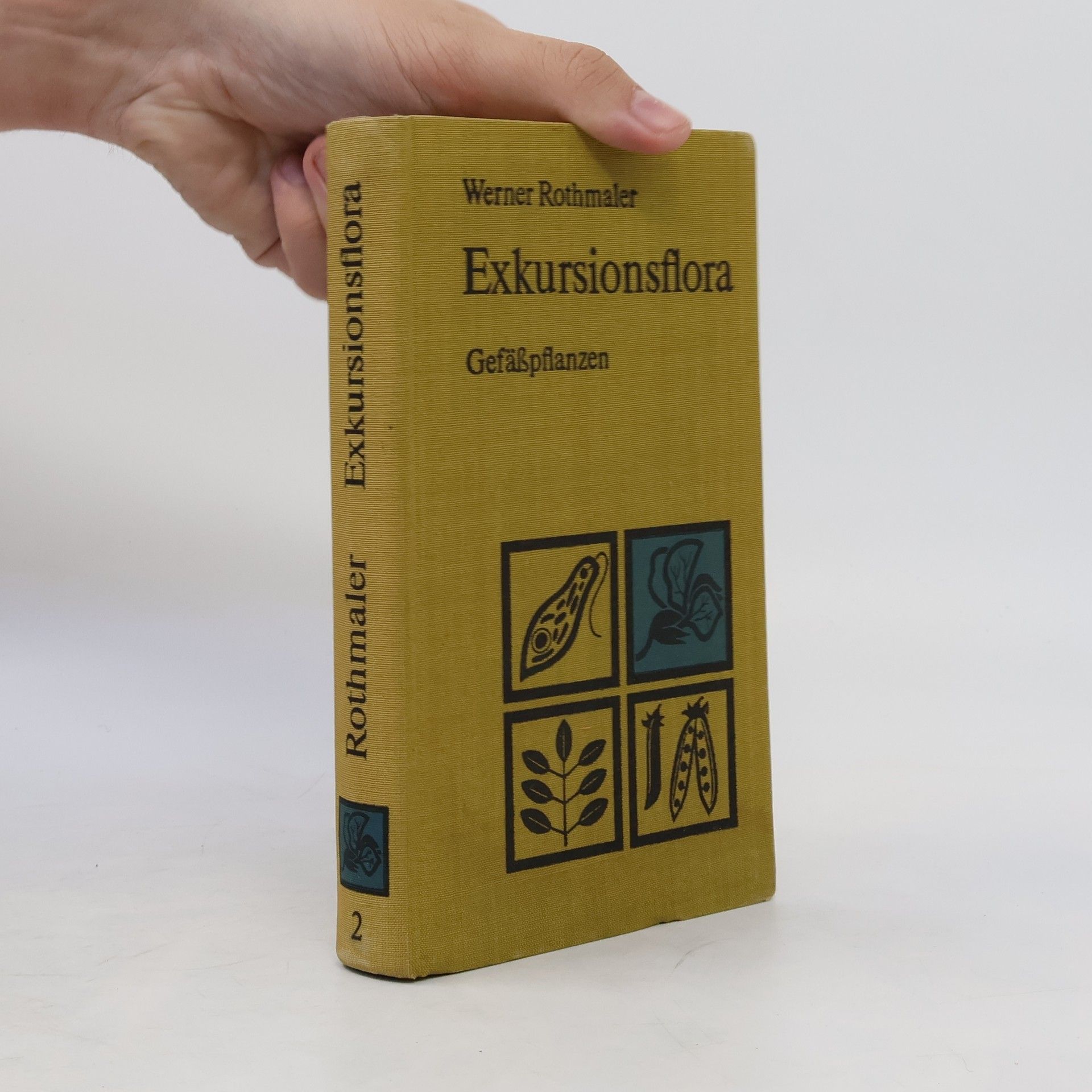 Werner Rothmaler Exkursionsflora für die Gebiete der DDR und der BRD 2