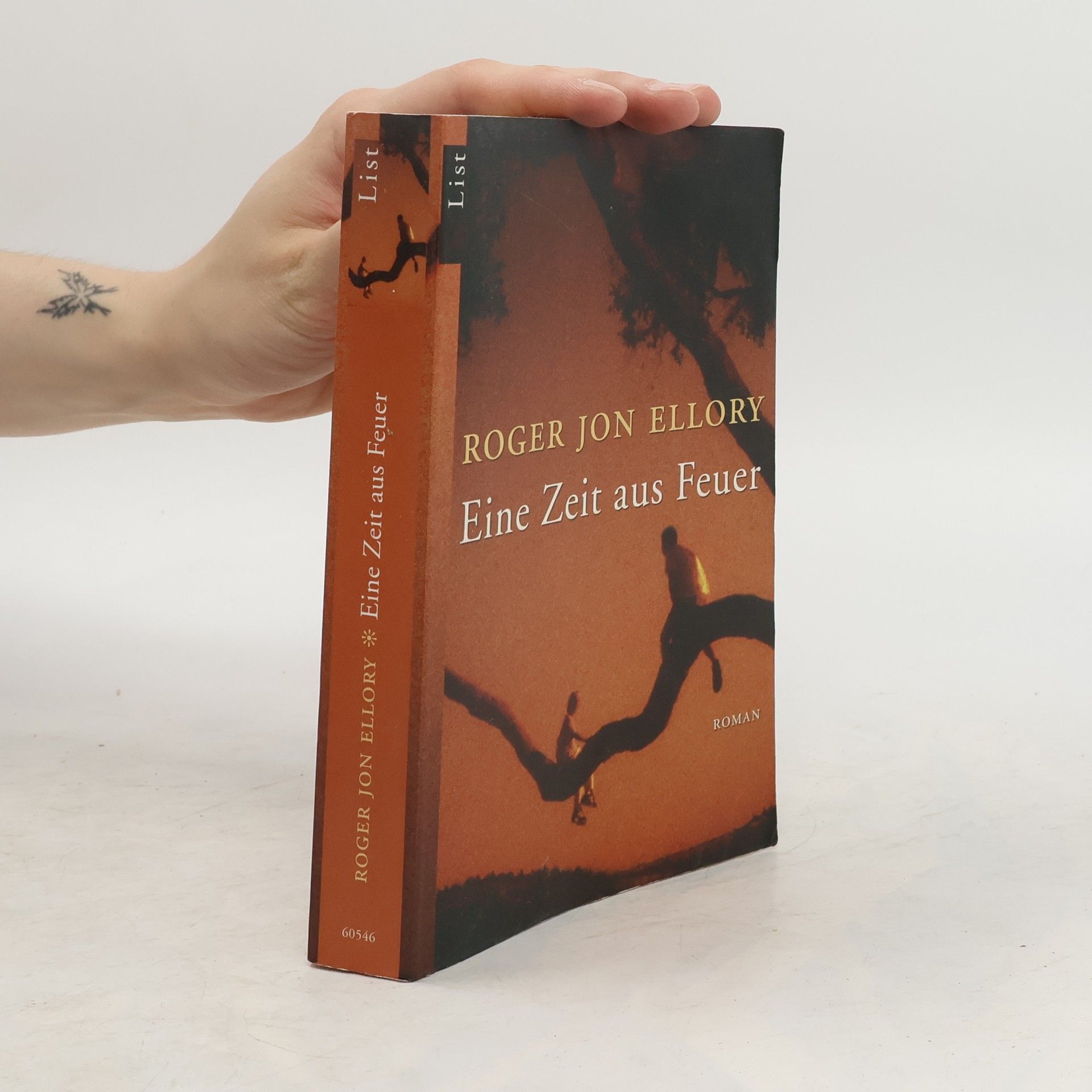 R. J. Ellory Eine Zeit aus Feuer