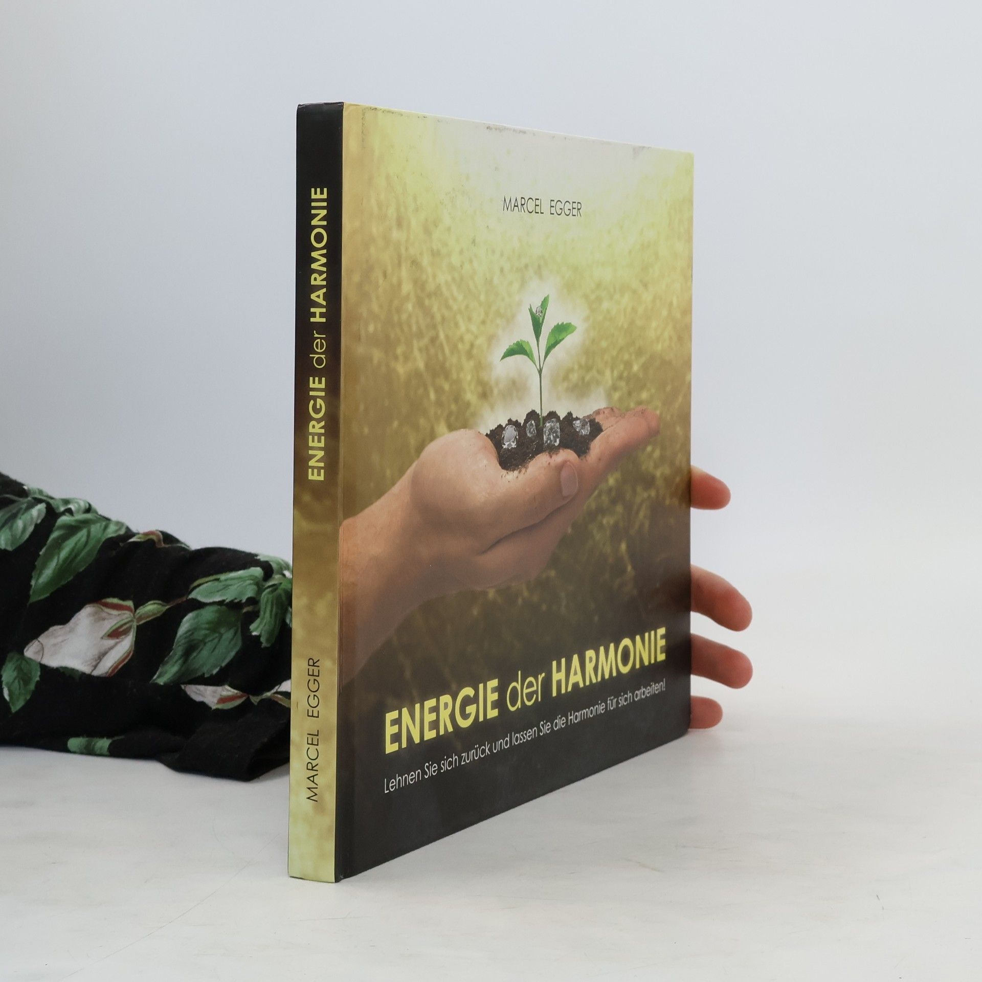 Marcel Egger Energie der Harmonie