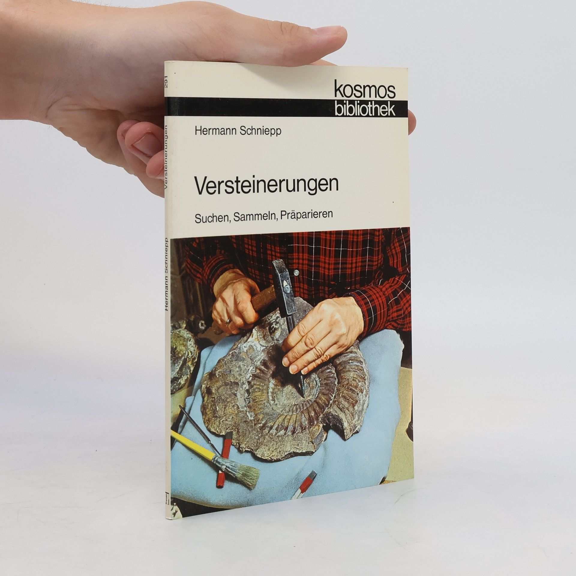 Hermann Schniepp Versteinerungen