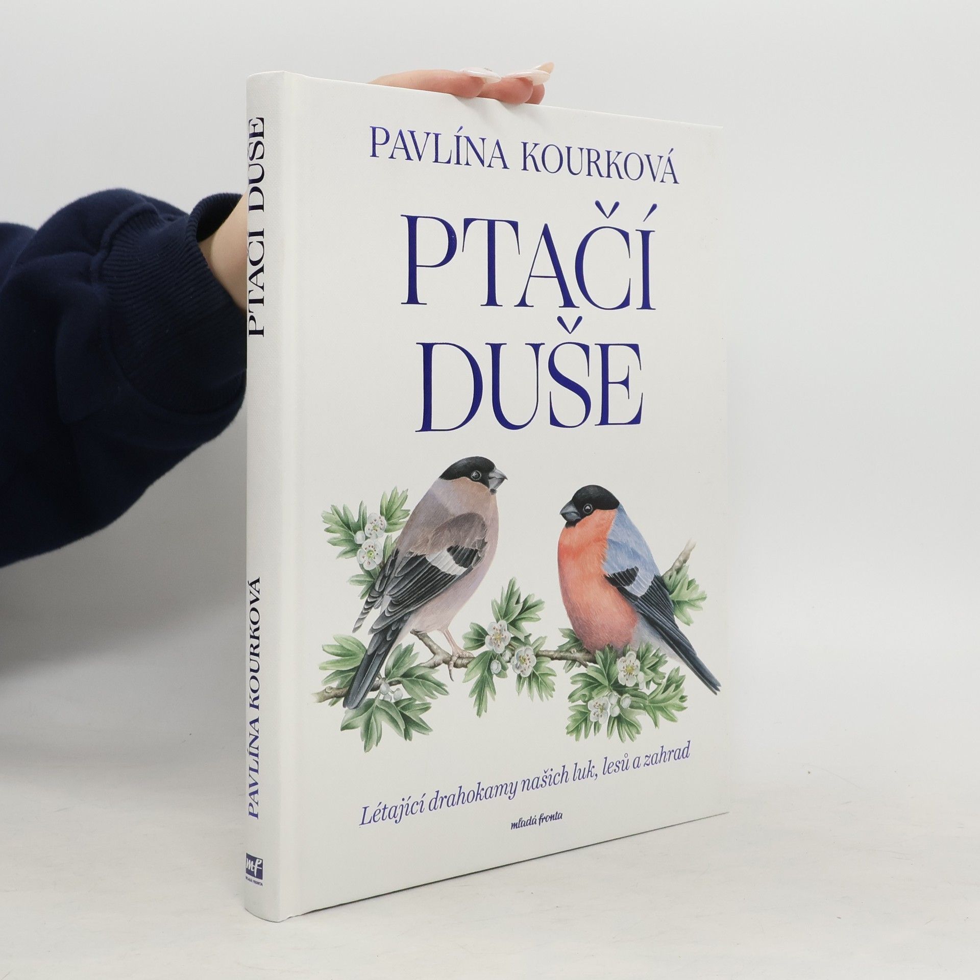 Pavlína Kourková Ptačí duše