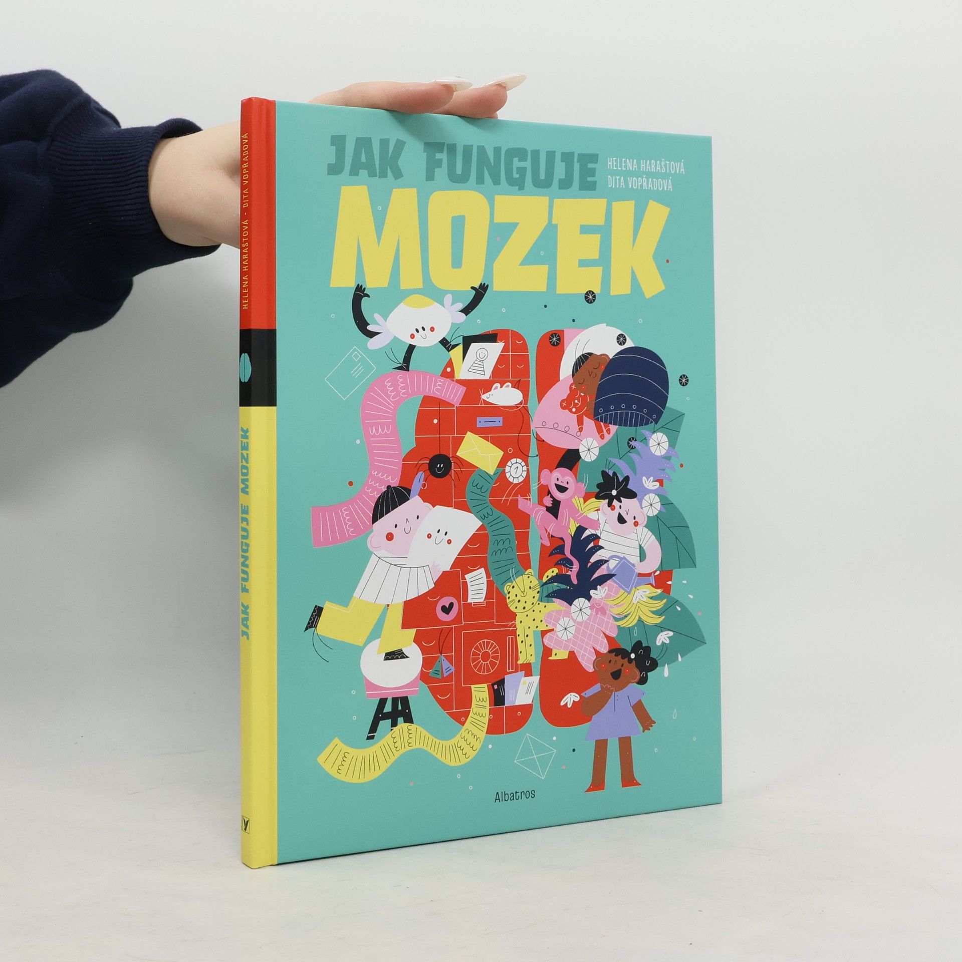 Helena Haraštová Jak funguje mozek