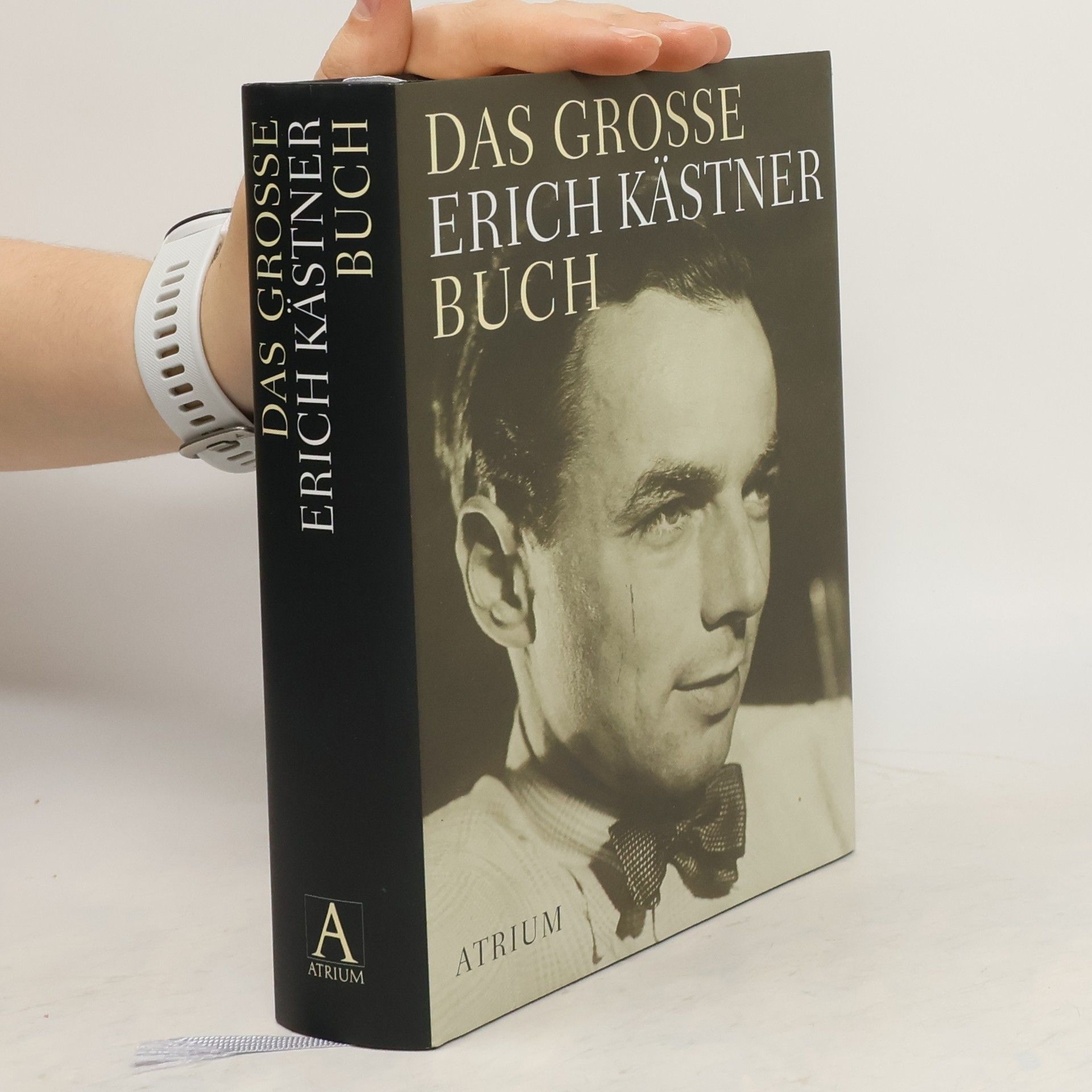 Erich Kästner Das große Erich-Kästner-Buch