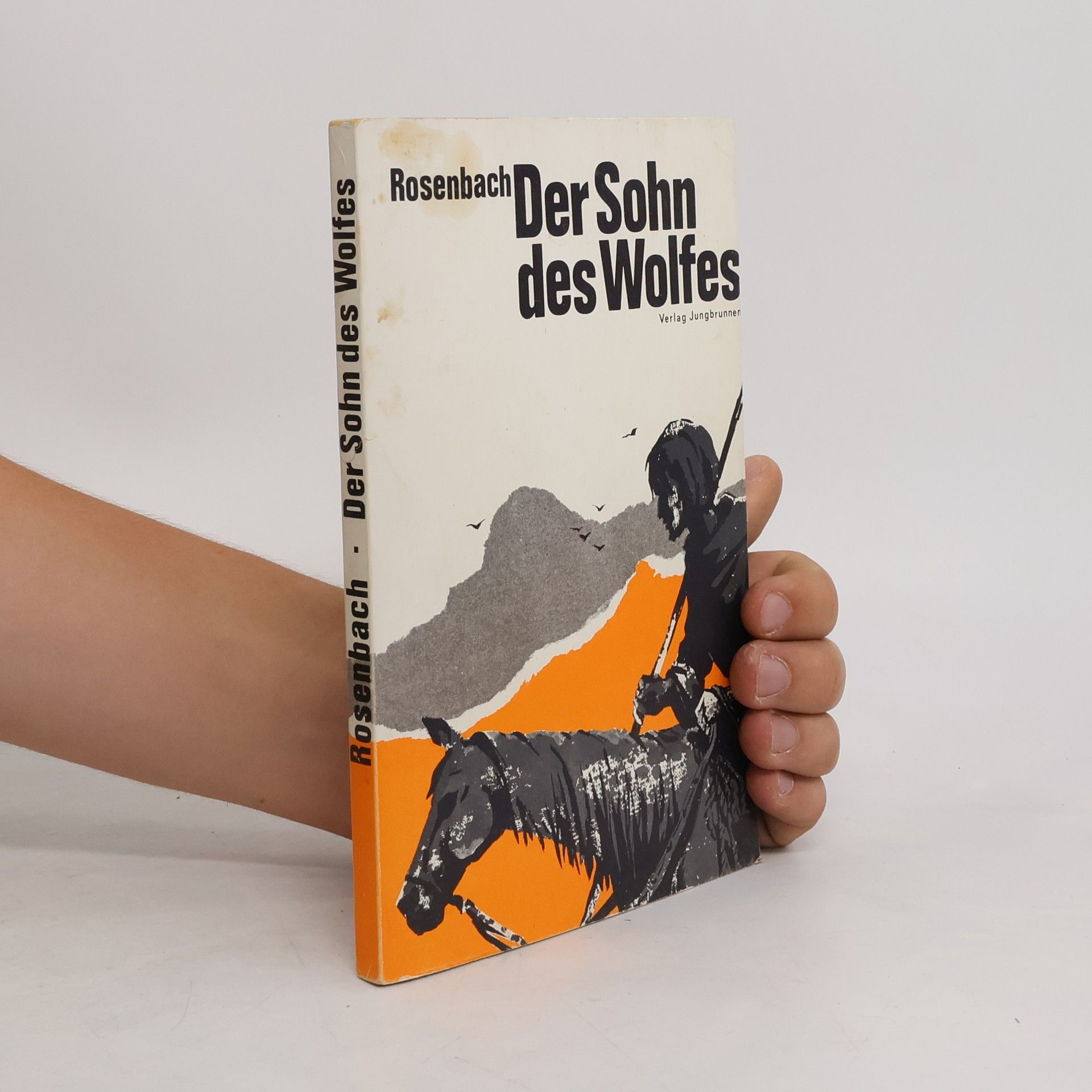 Detlev Rosenbach Der Sohn des Wolfes