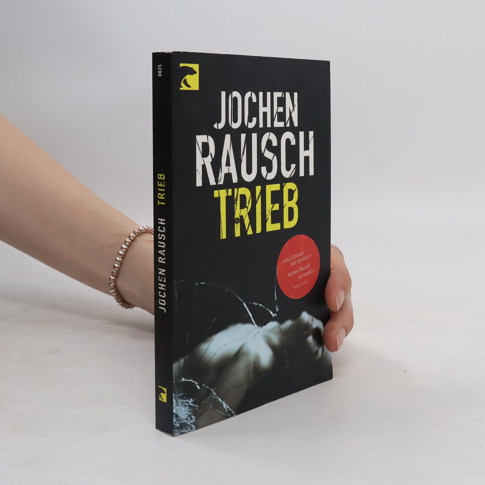 Jochen Rausch Trieb - 13 Storys