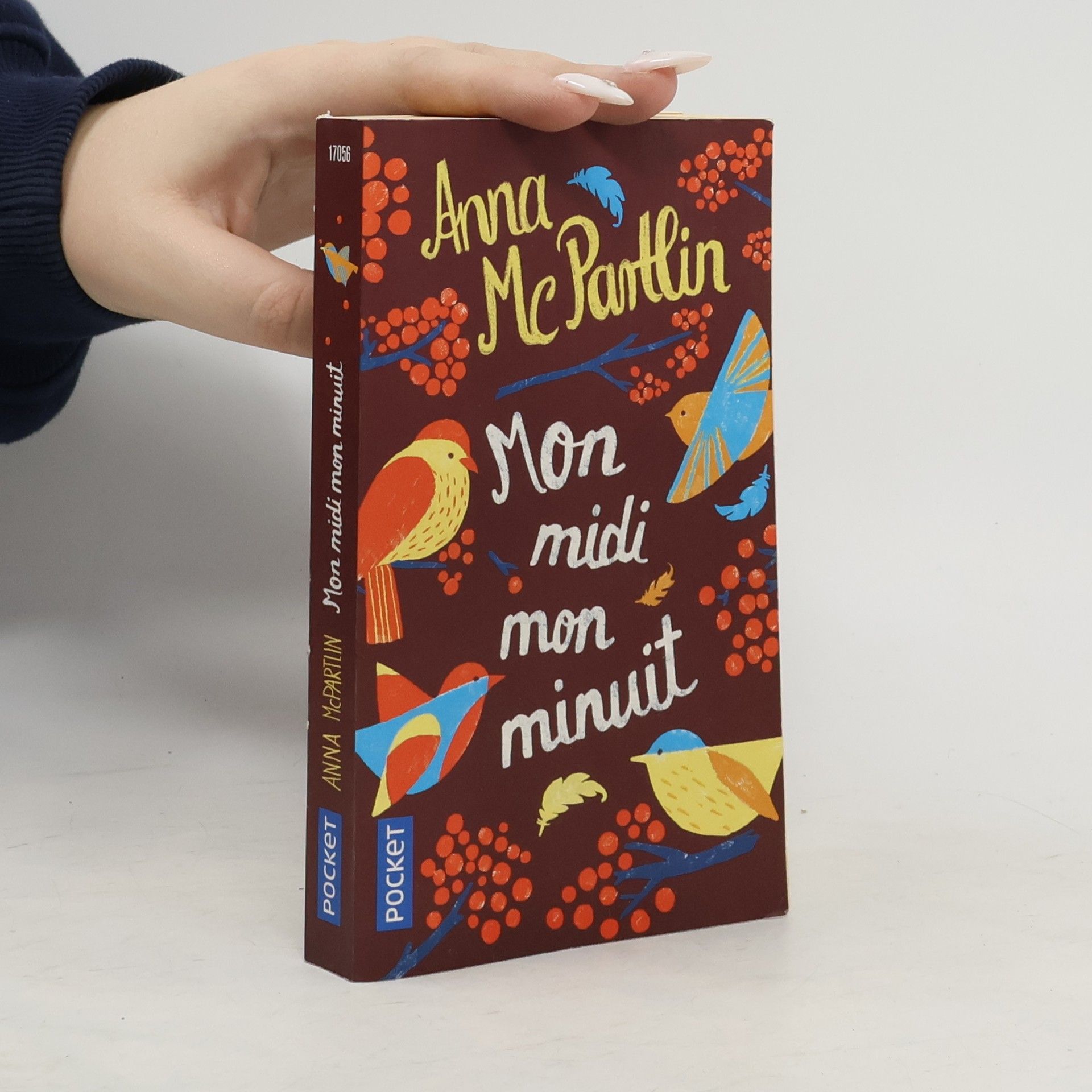 Anna Mc Partlin Mon midi, mon minuit
