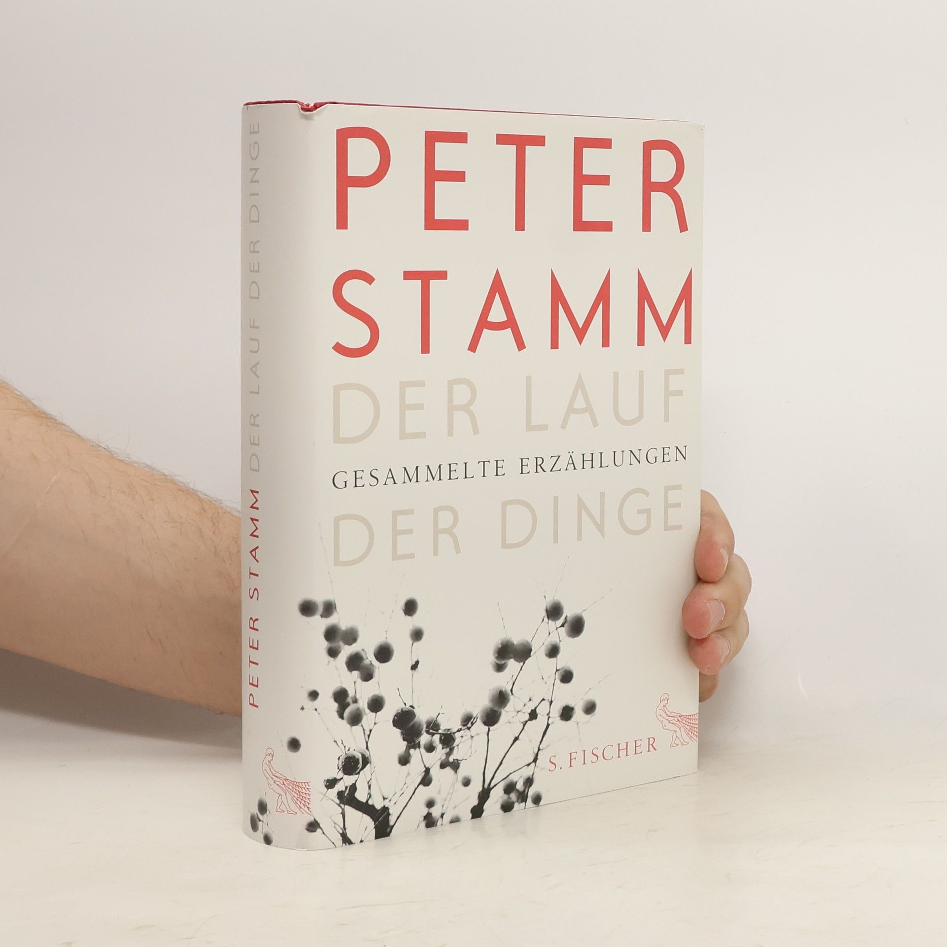 Peter Stamm Der Lauf der Dinge