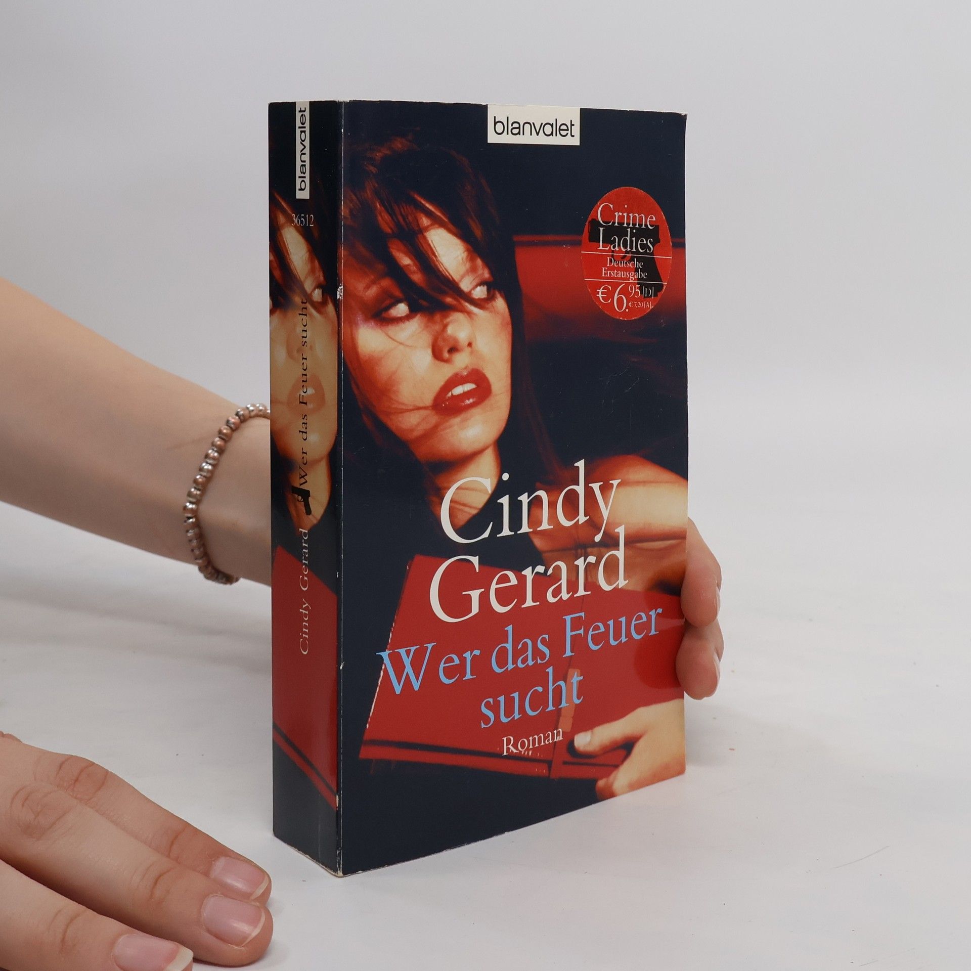 Cindy Gerard Wer das Feuer sucht